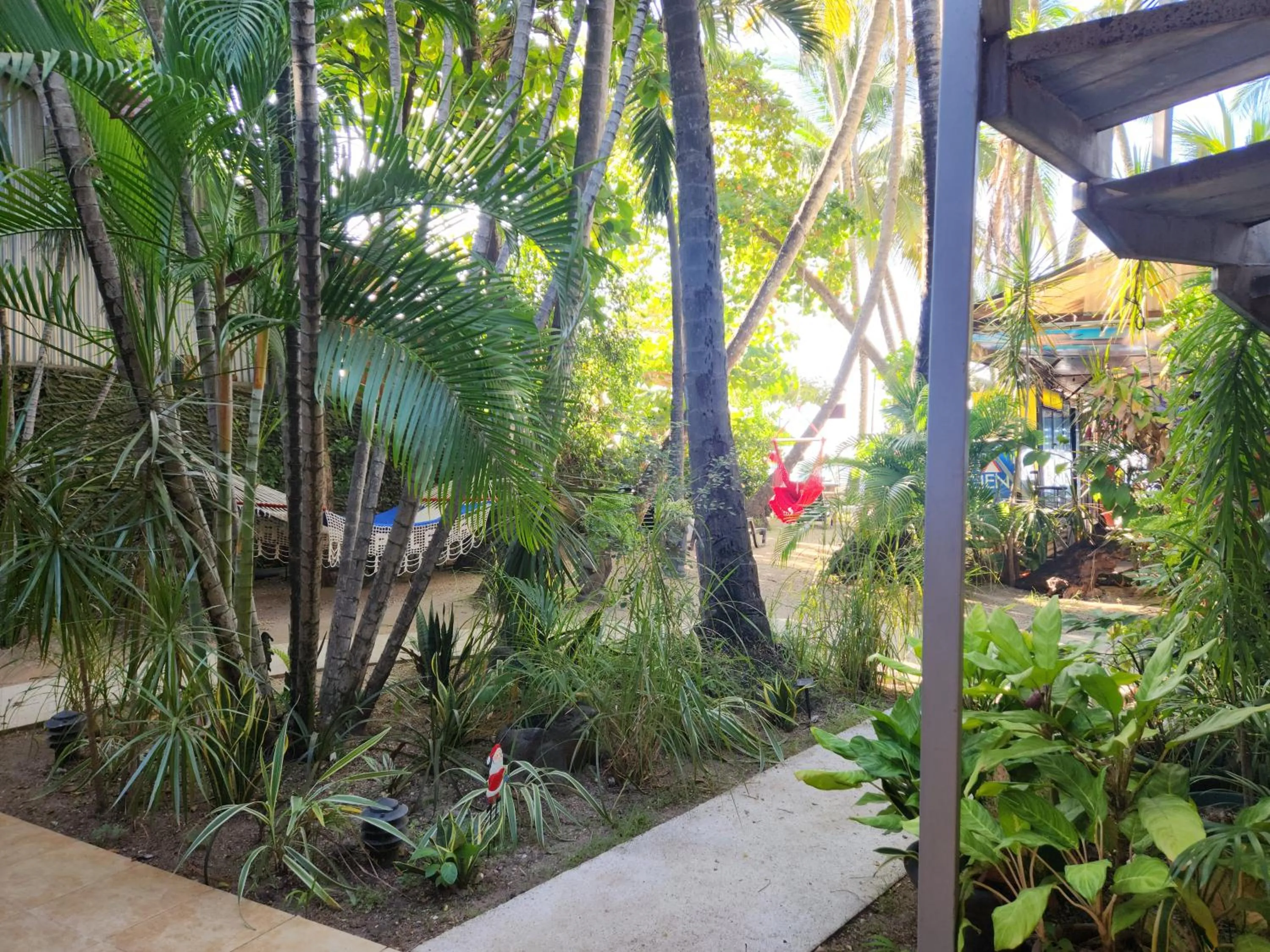 Garden view in Hotel La Palapa