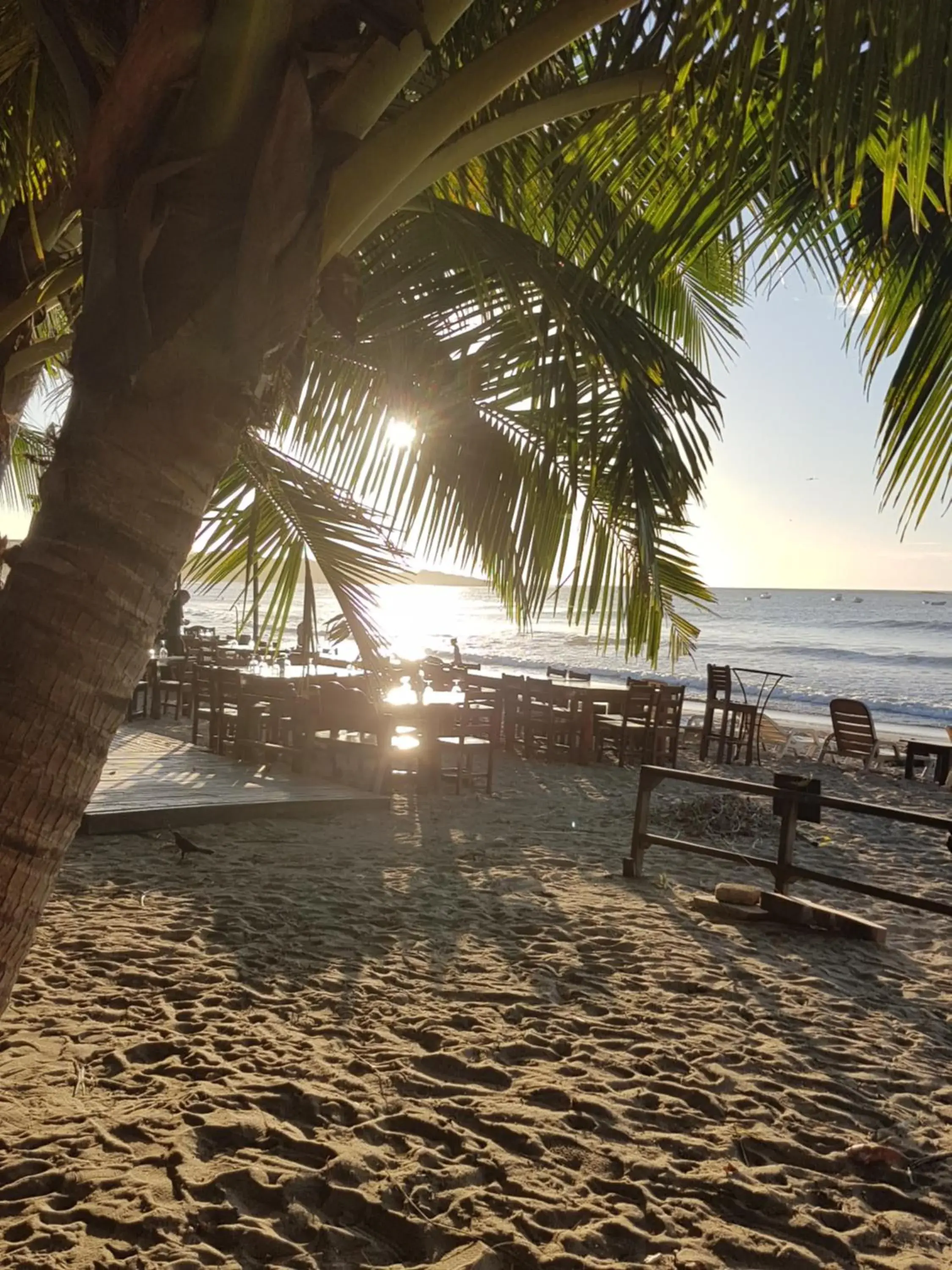 Restaurant/places to eat in Hotel La Palapa Restaurant/places to eat in Hotel La Palapa