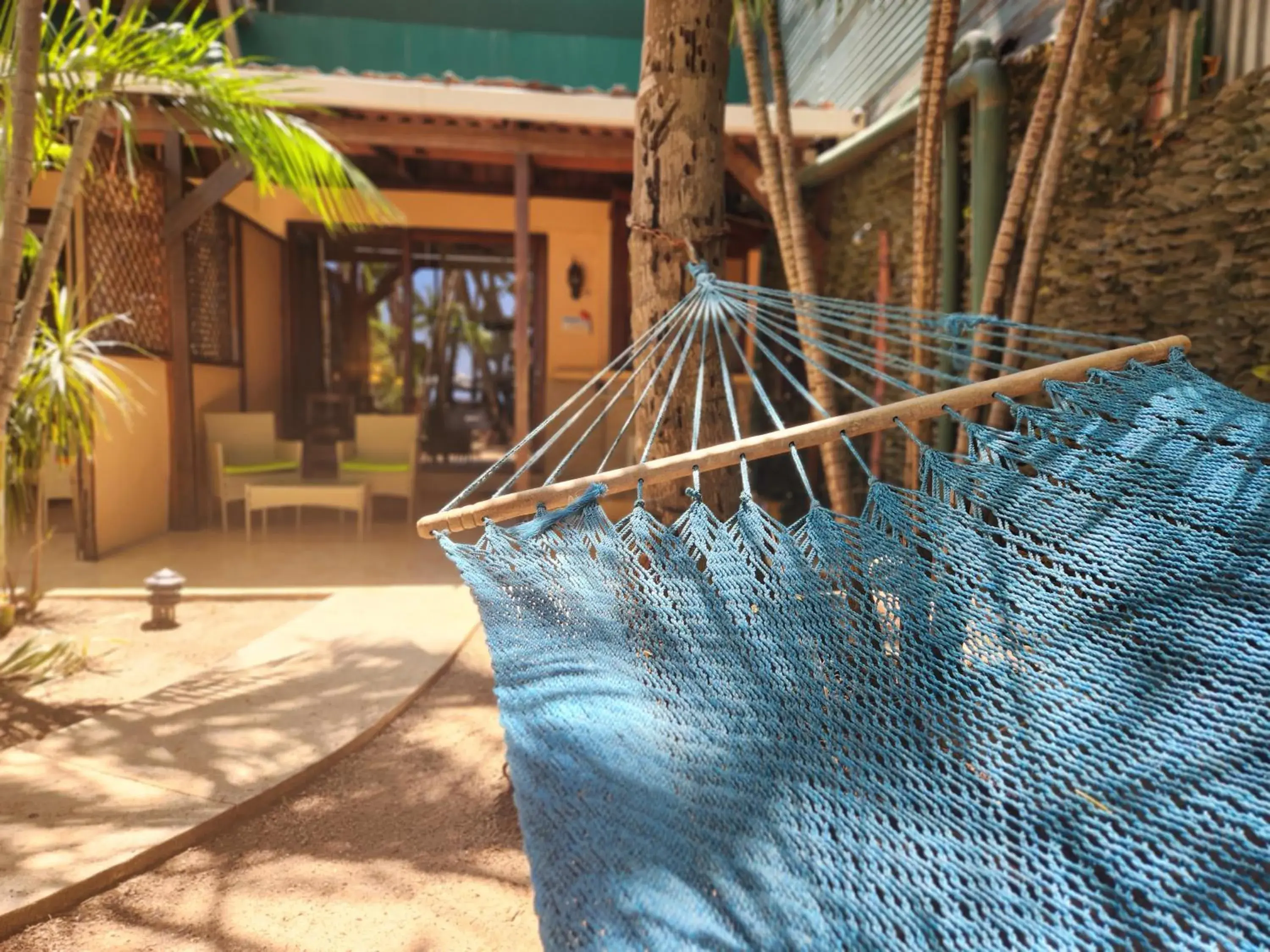 Garden in Hotel La Palapa Garden in Hotel La Palapa