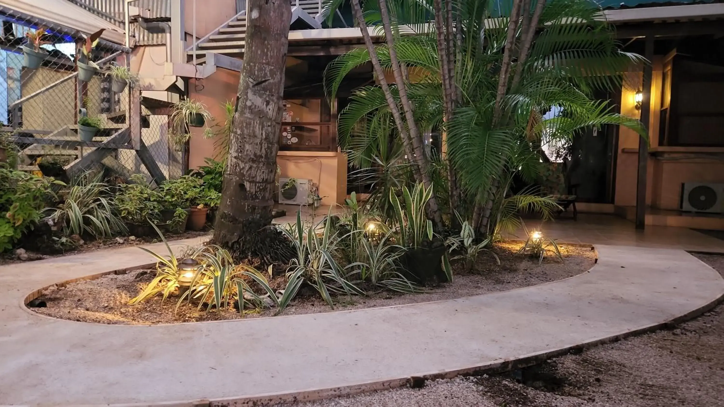 Garden in Hotel La Palapa Garden in Hotel La Palapa