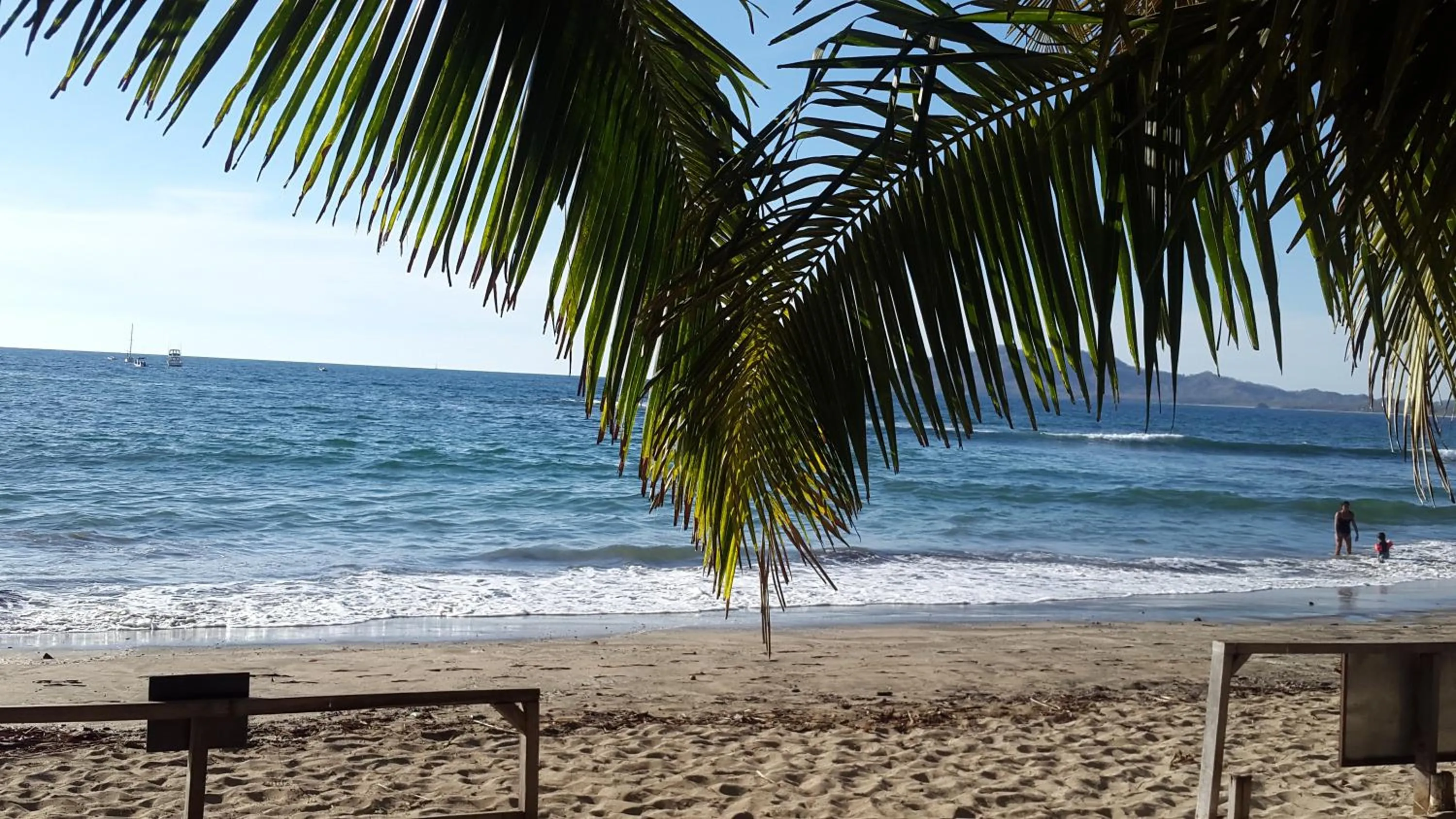 Day in Hotel La Palapa