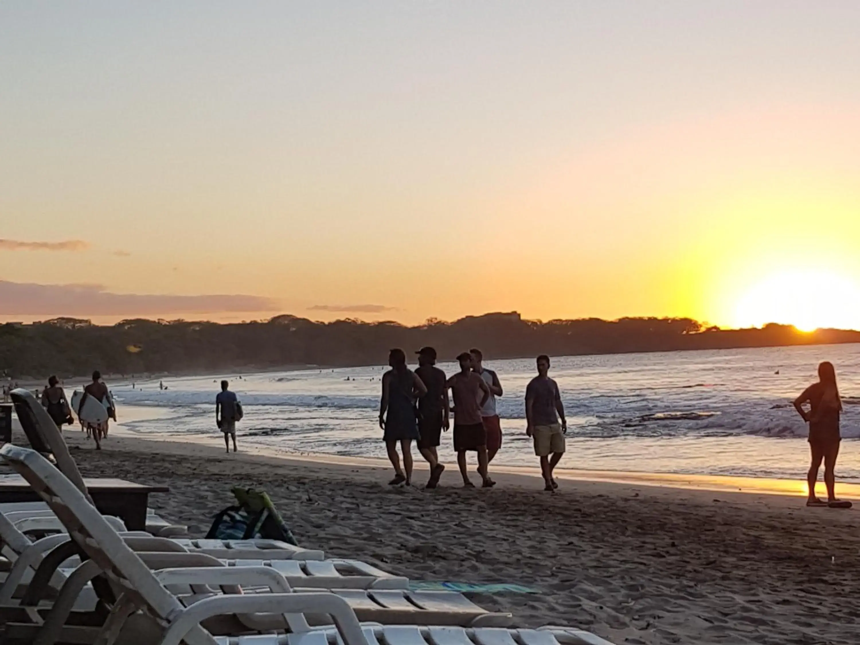 Sea view in Hotel La Palapa Sea view in Hotel La Palapa