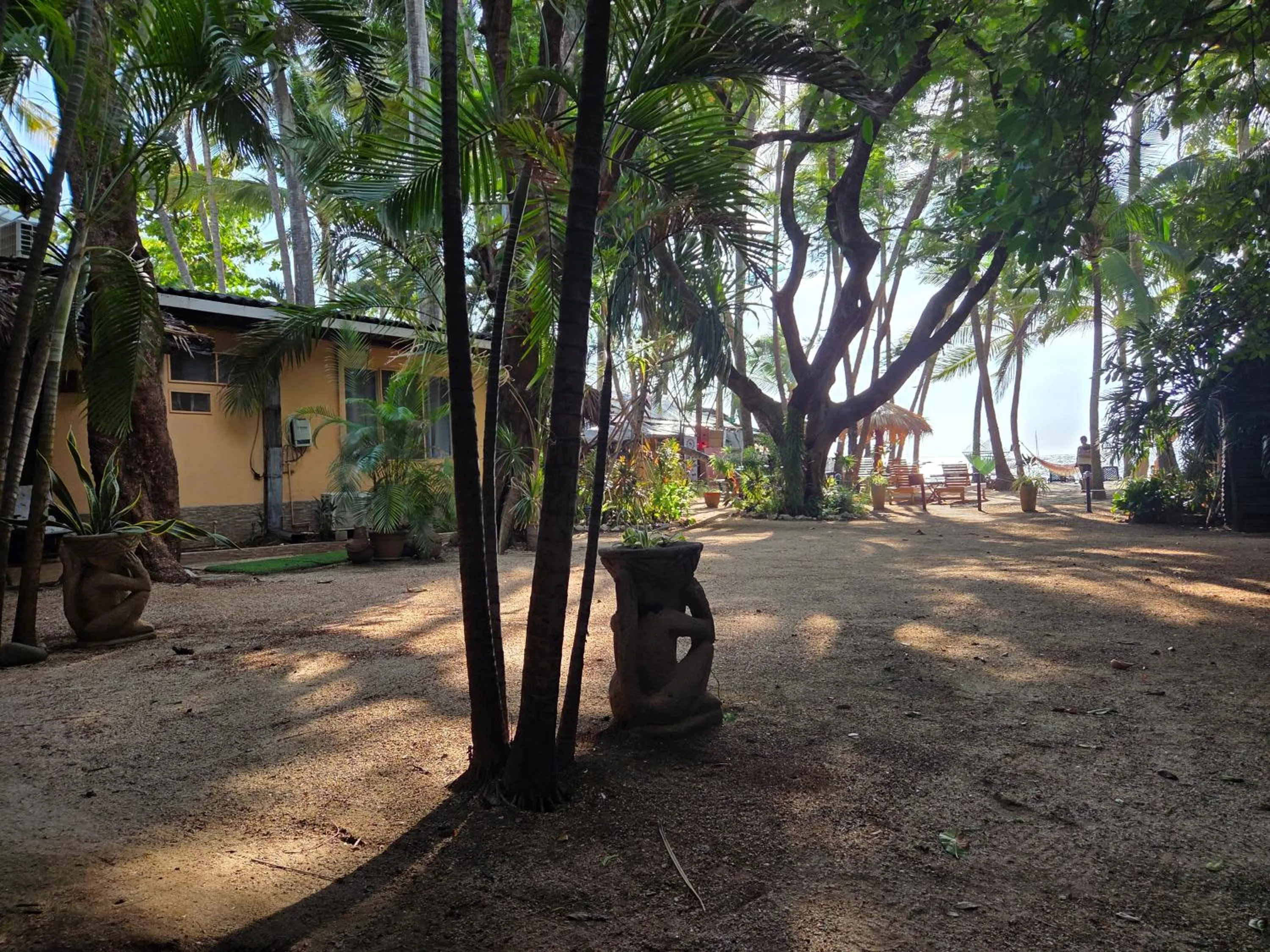 Sea view in Hotel La Palapa