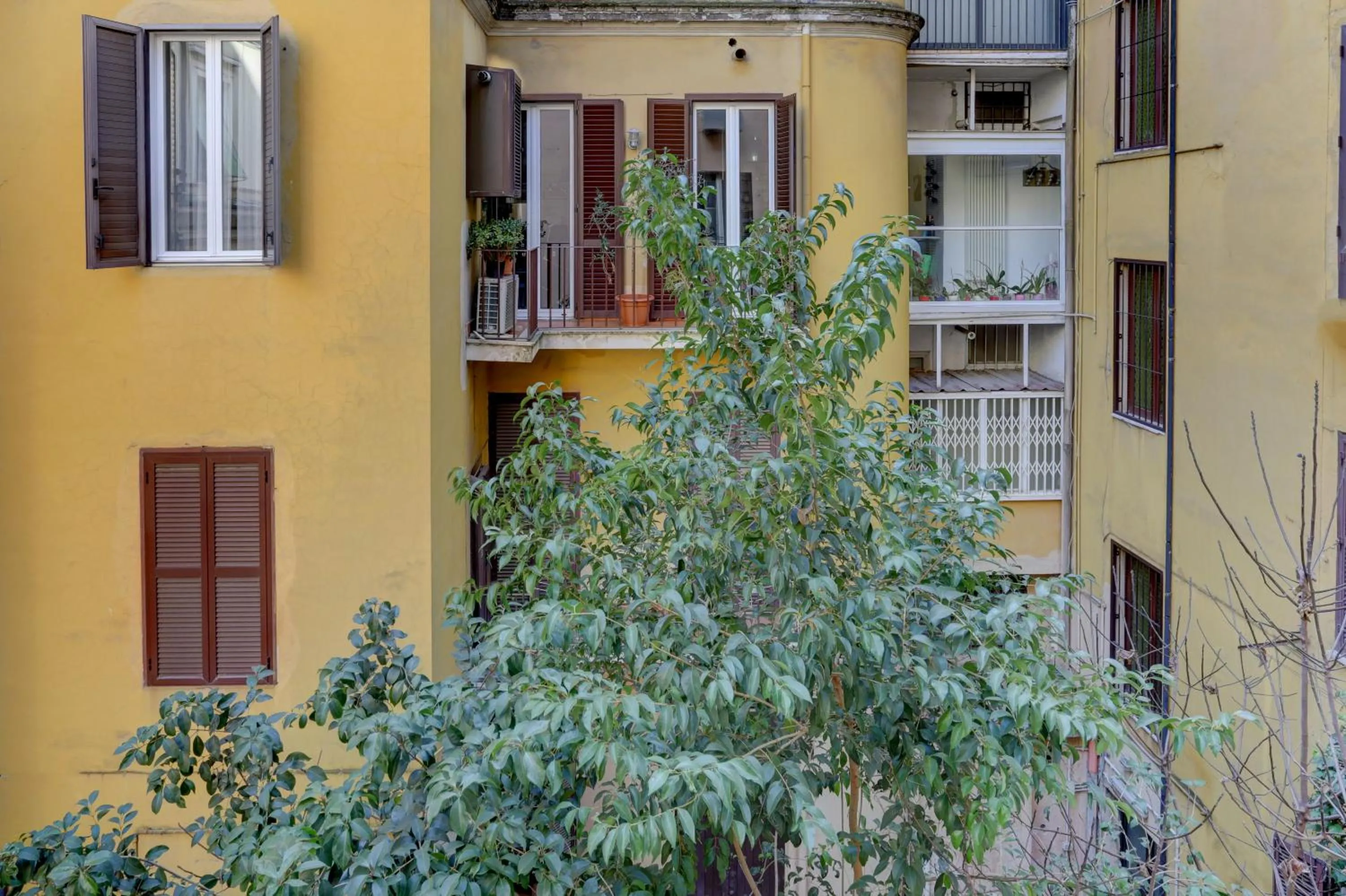 View (from property/room) in Appartamento Santi Quattro - Colosseo