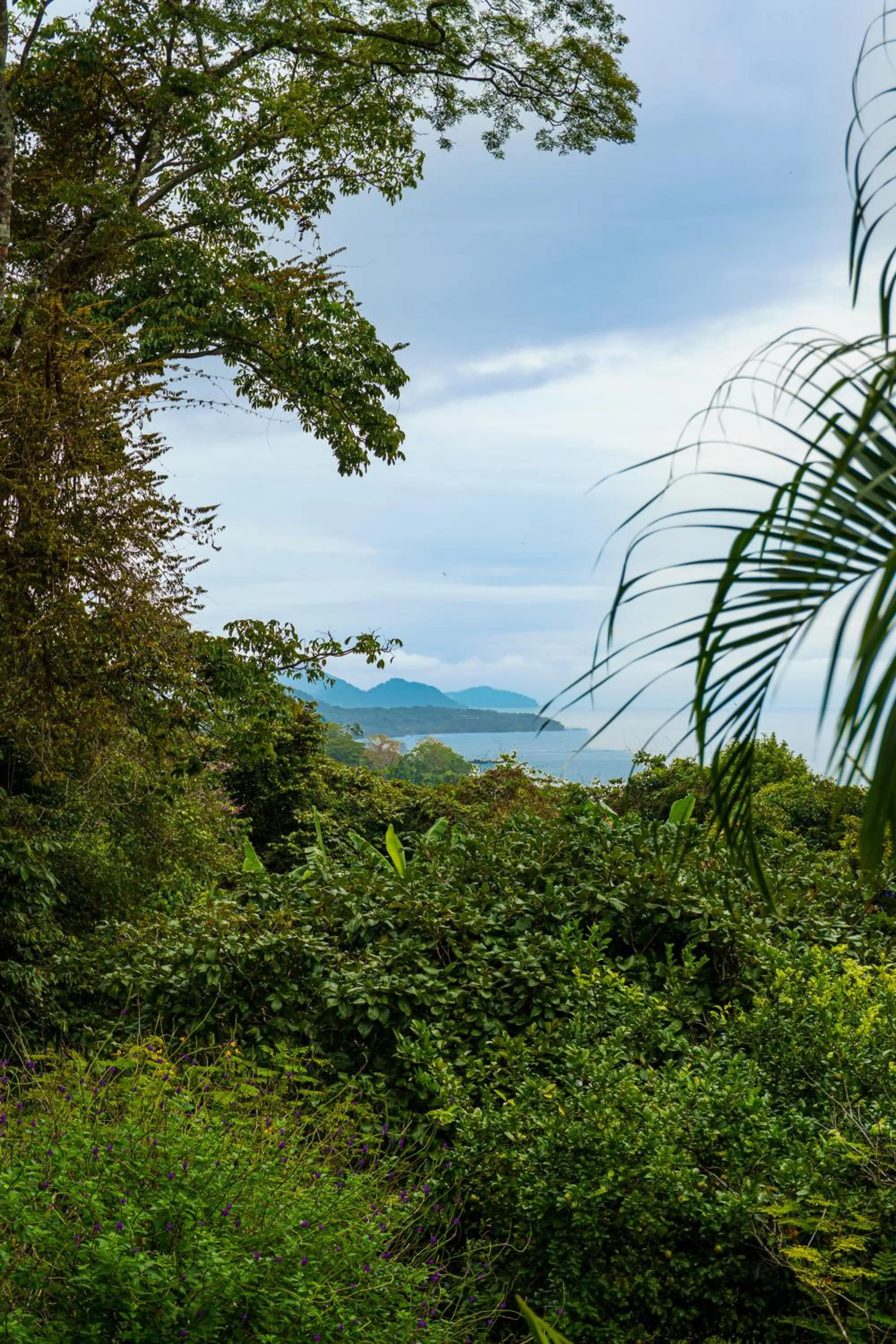 Sea view in Jodokus Inn