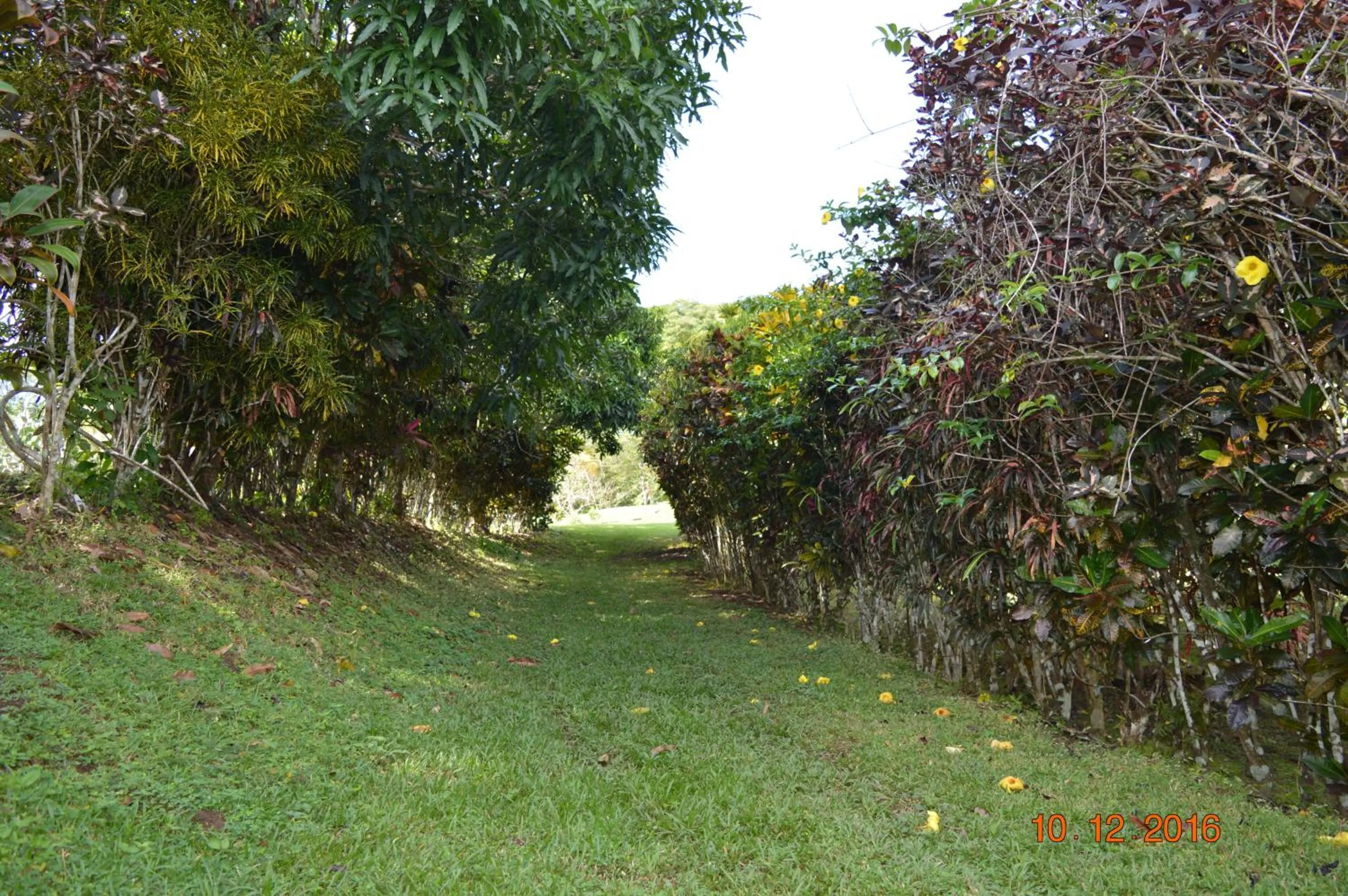 Garden in Jodokus Inn
