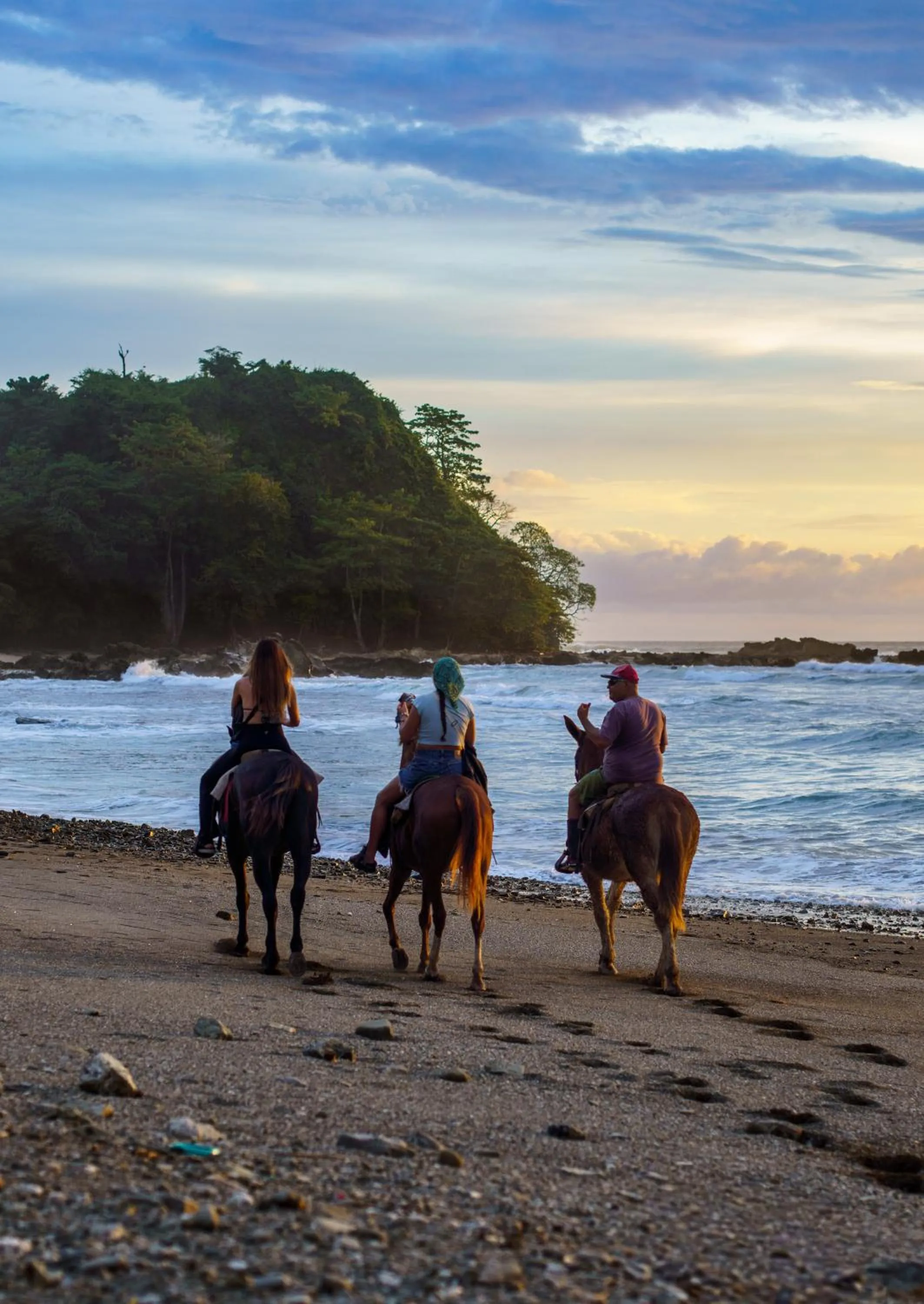Animals in Jodokus Inn