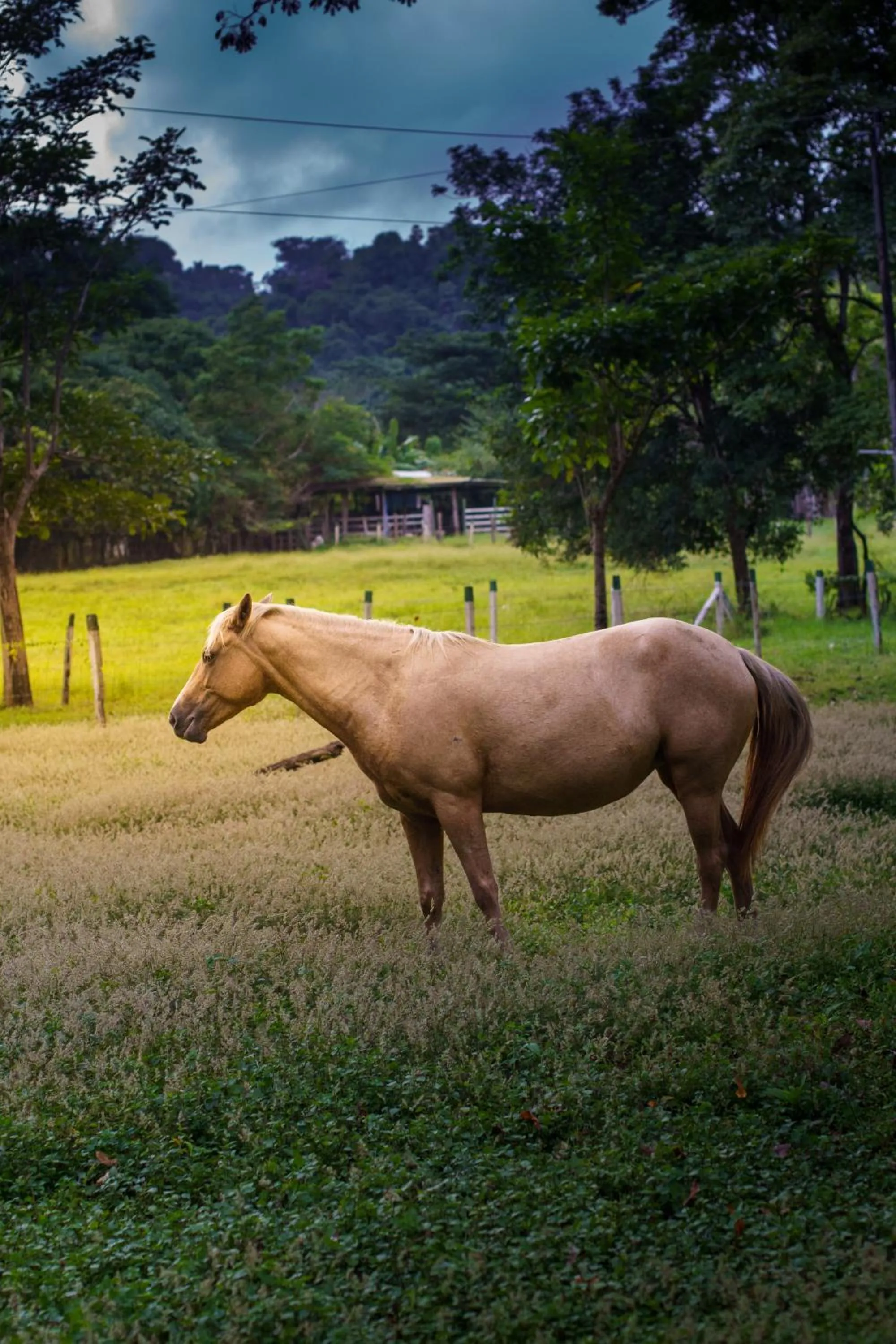 Area and facilities in Jodokus Inn