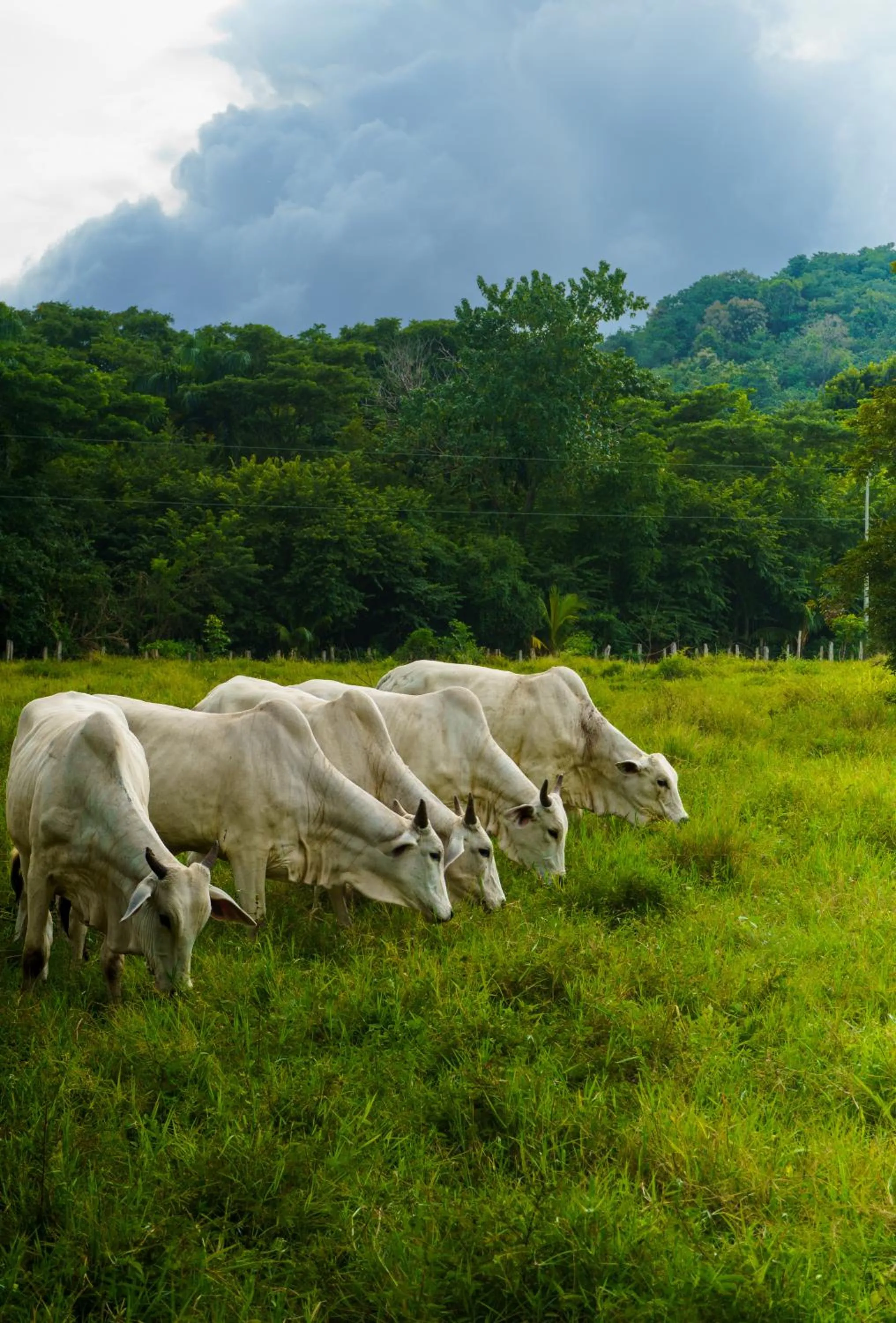 Natural landscape in Jodokus Inn