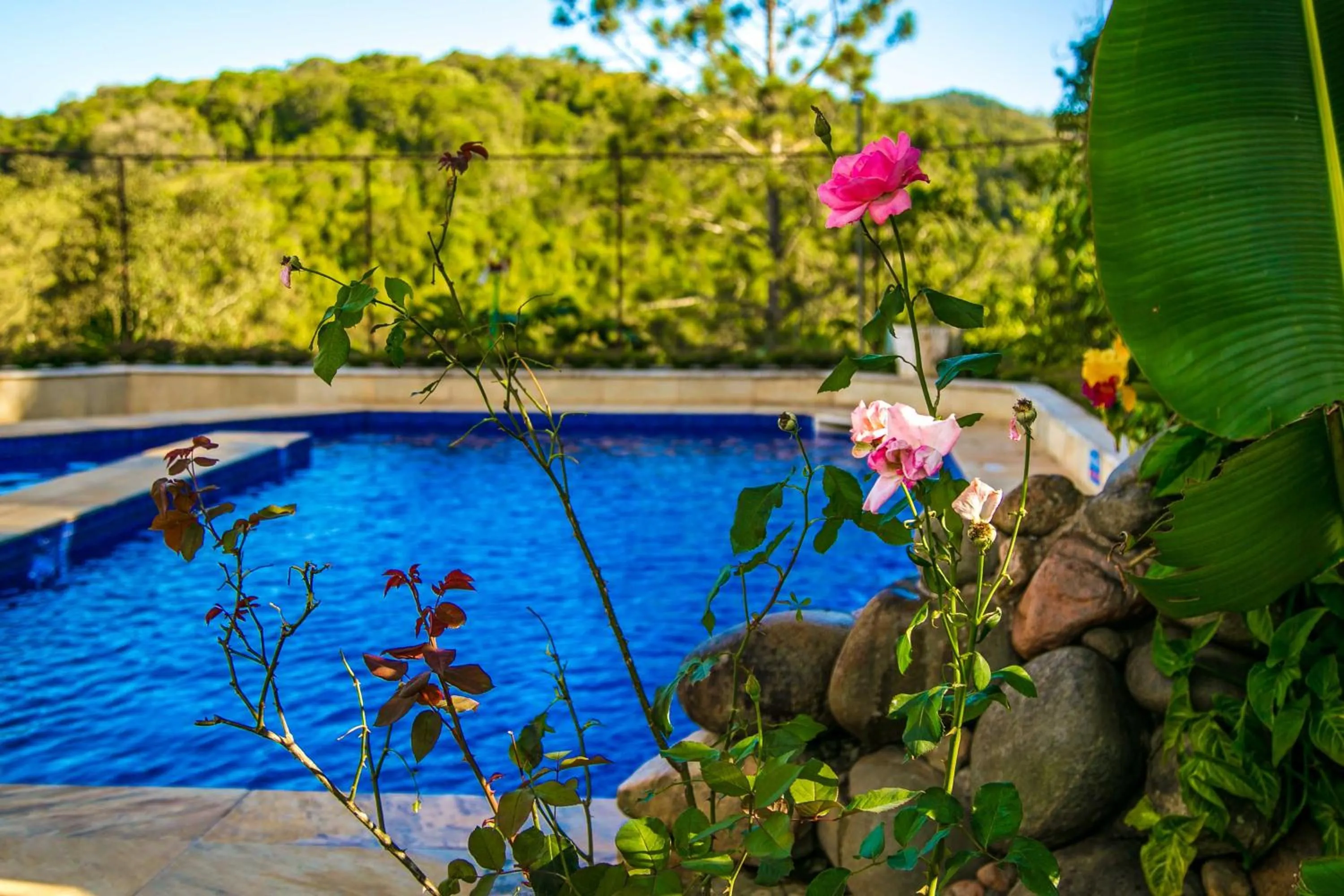 Casa Branca Pousada