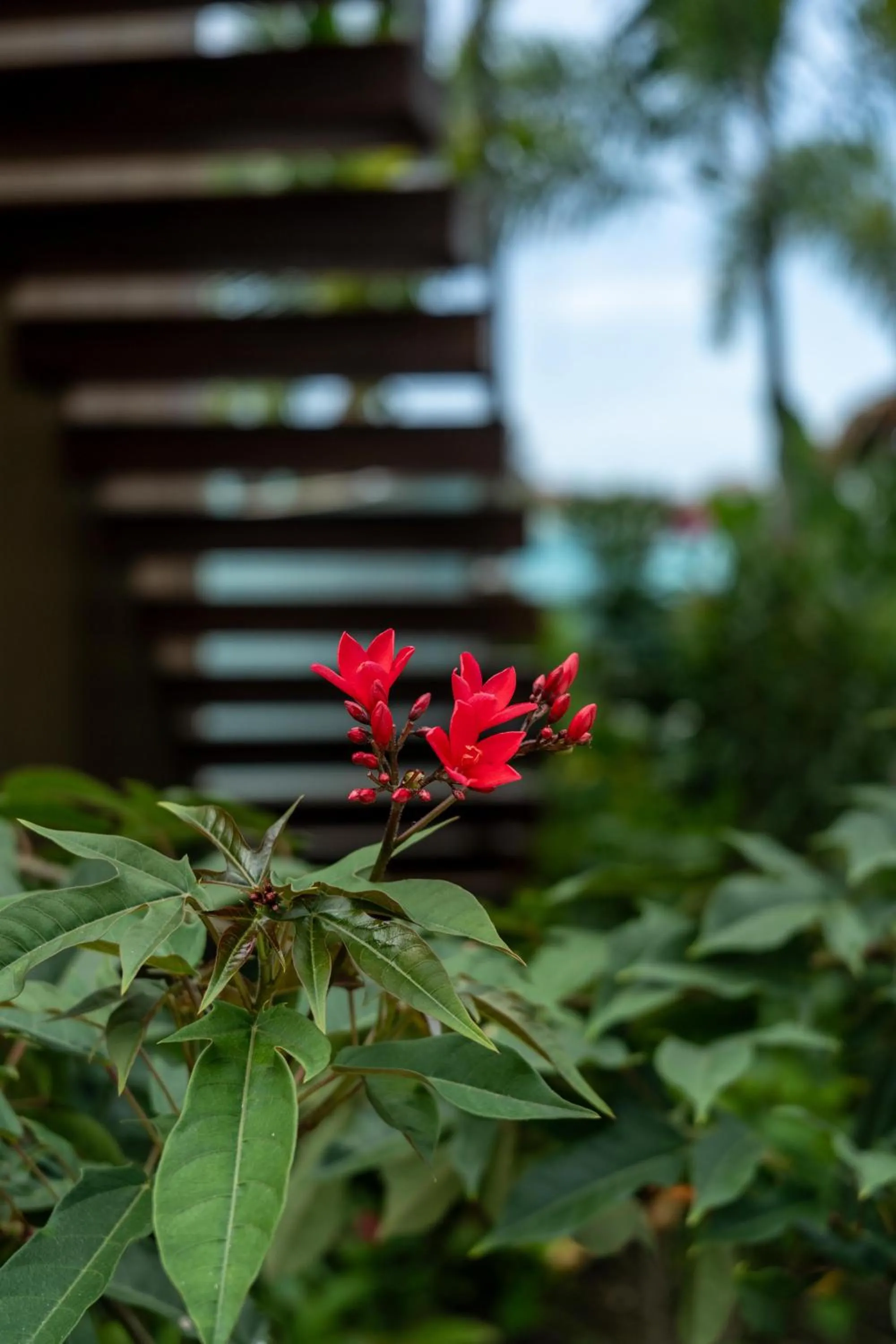 View (from property/room) in Sandals Grande St. Lucian Spa and Beach All Inclusive Resort - Couples Only