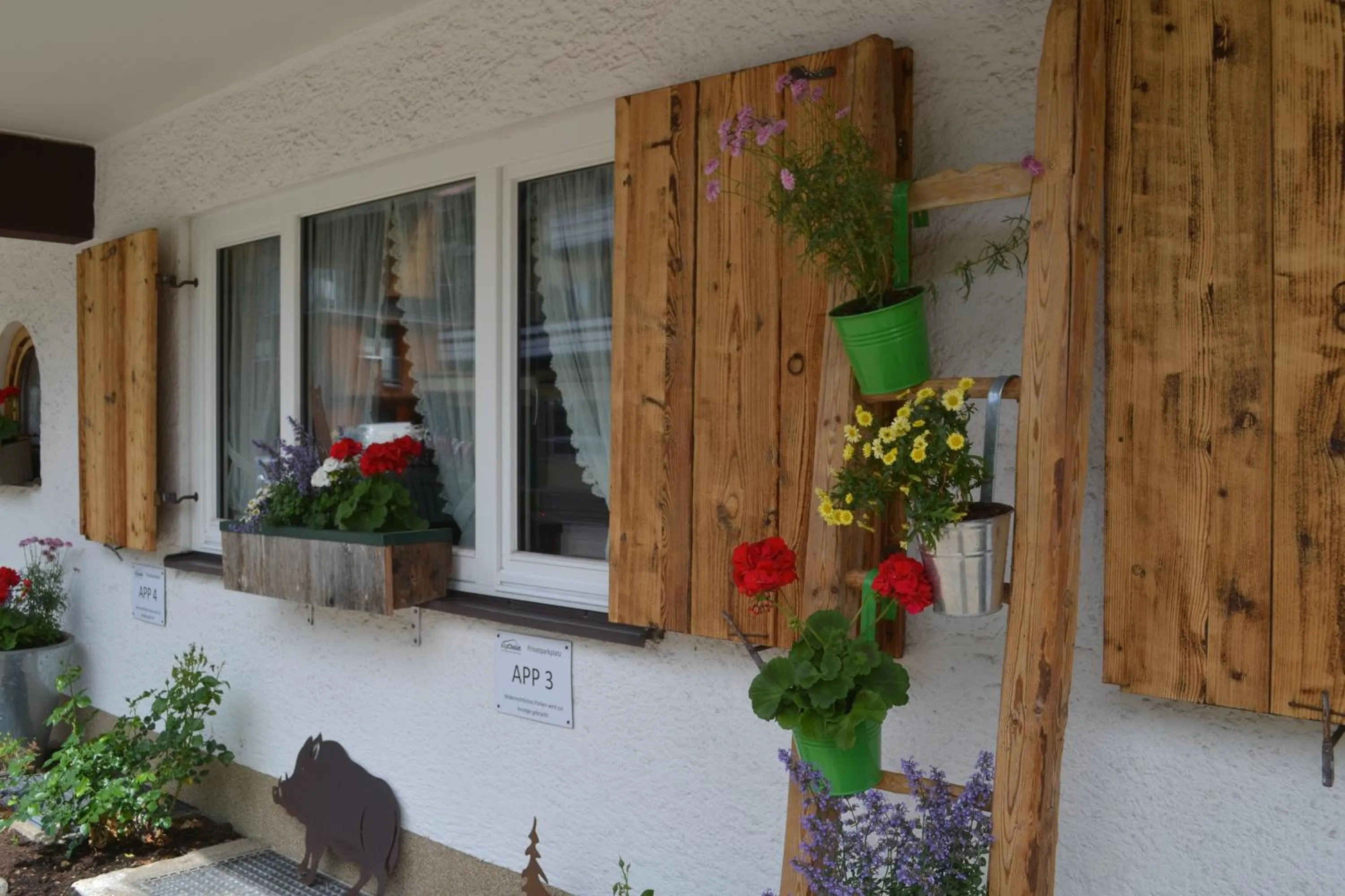 Property building in Alp-Chalet