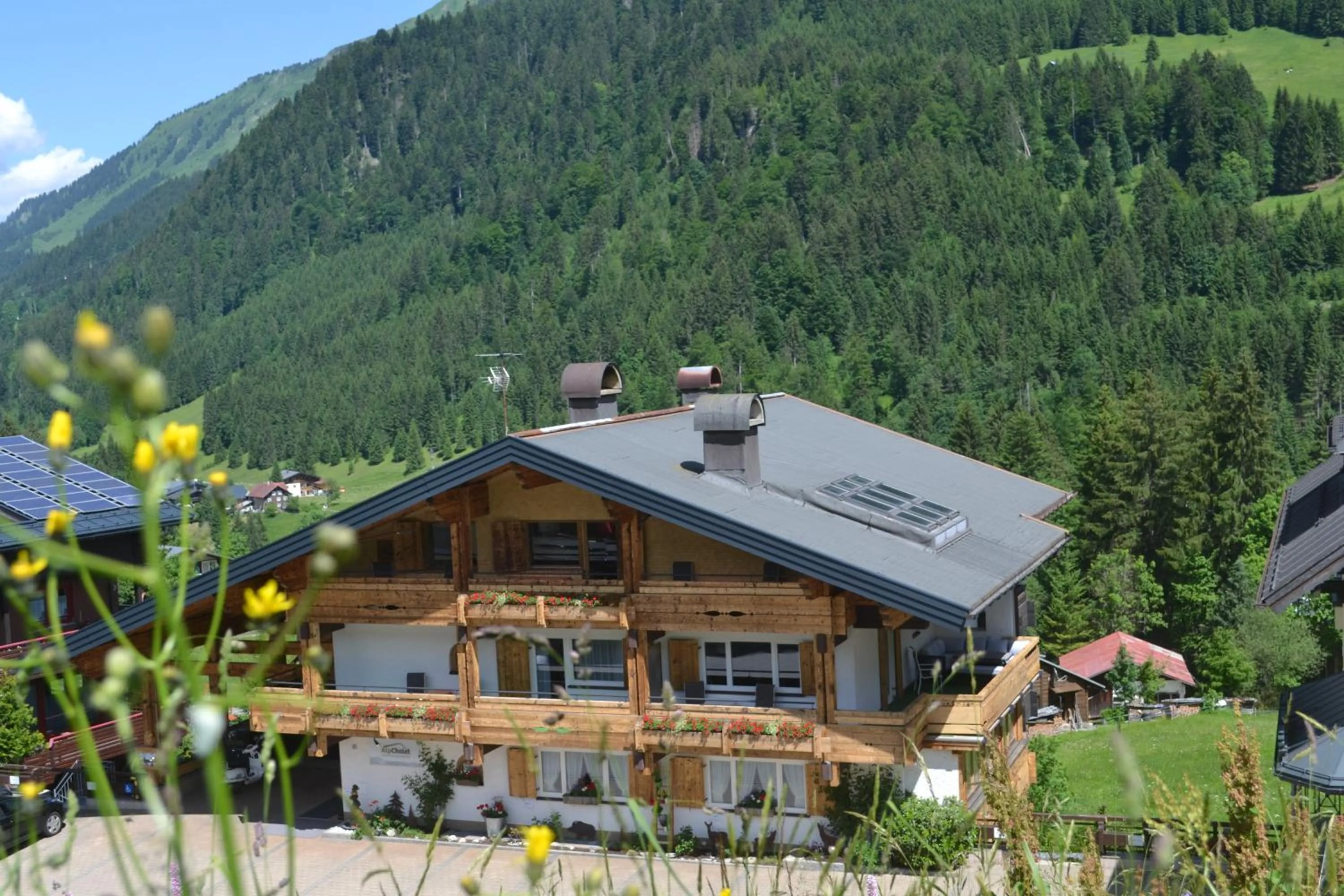 Property building in Alp-Chalet