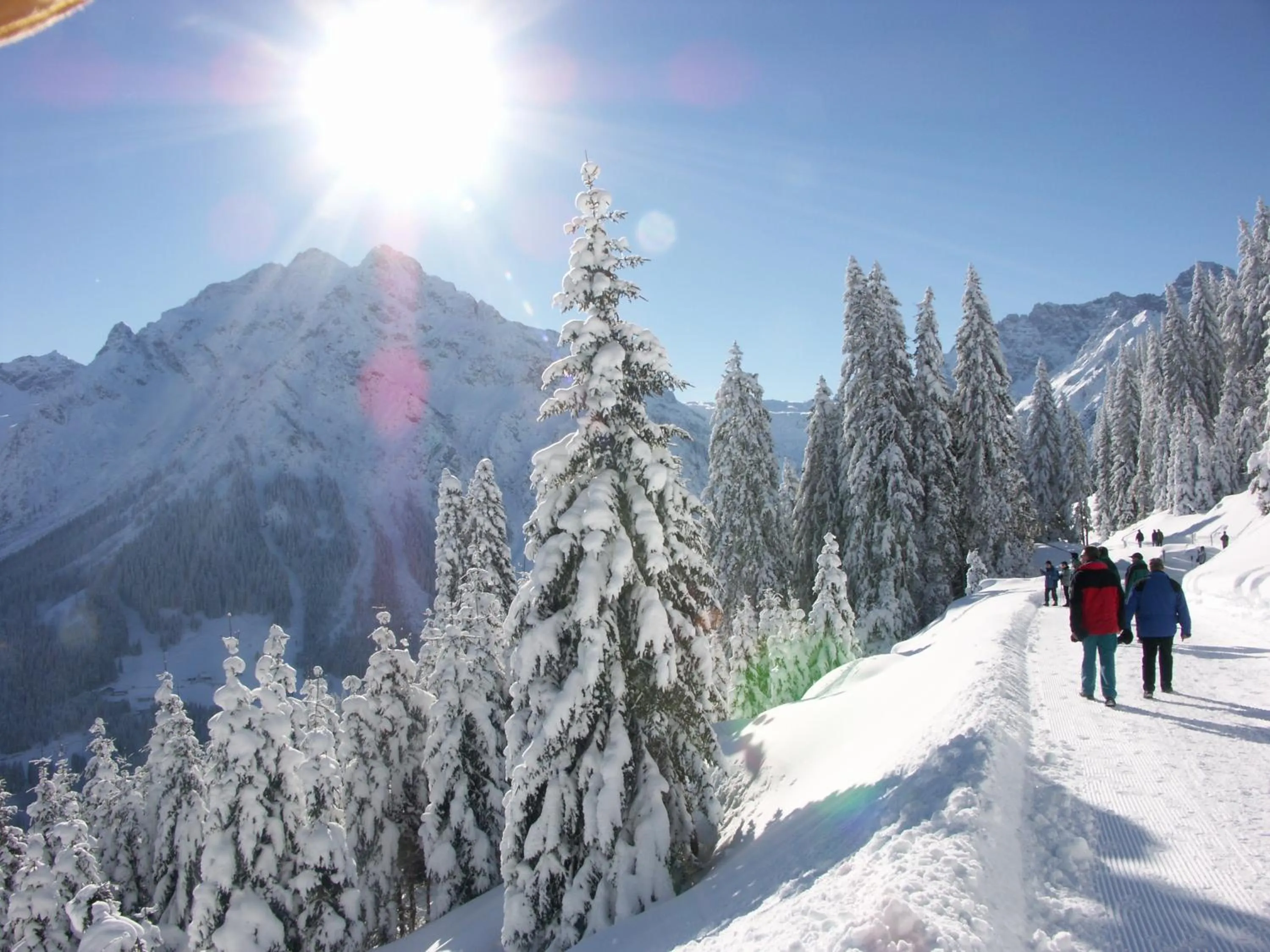 Hiking in Alp-Chalet
