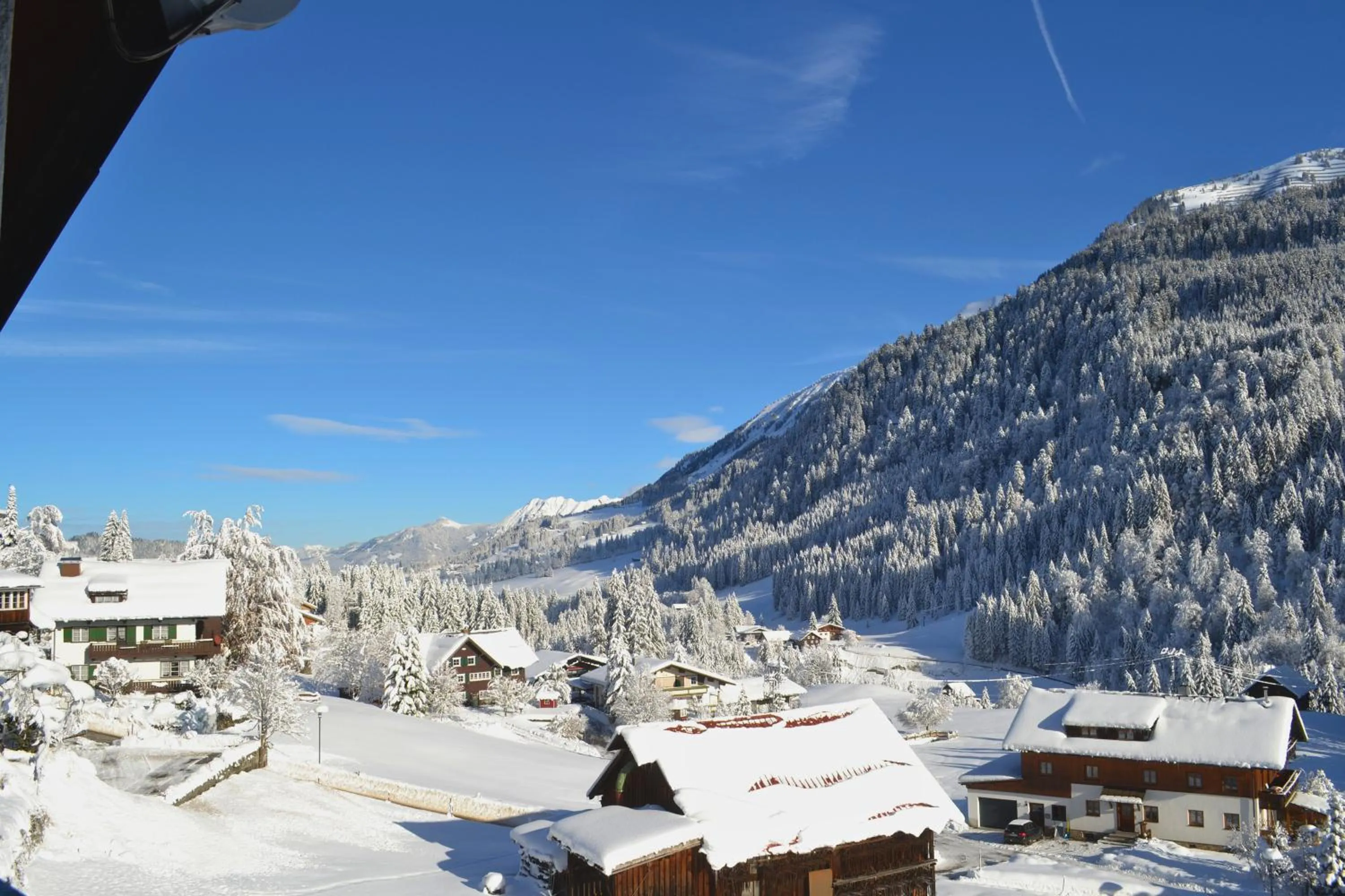 Property building in Alp-Chalet