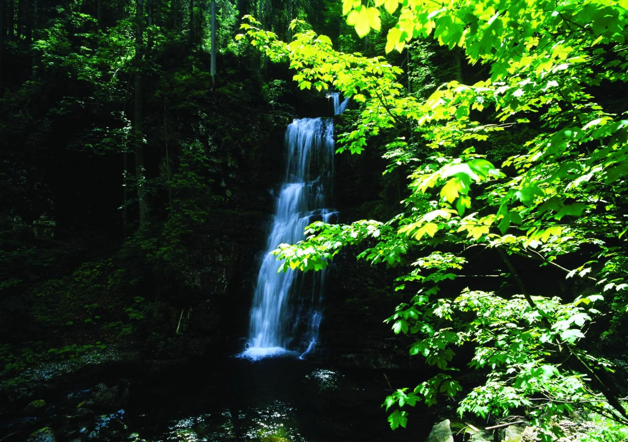 Natural landscape in Alp-Chalet