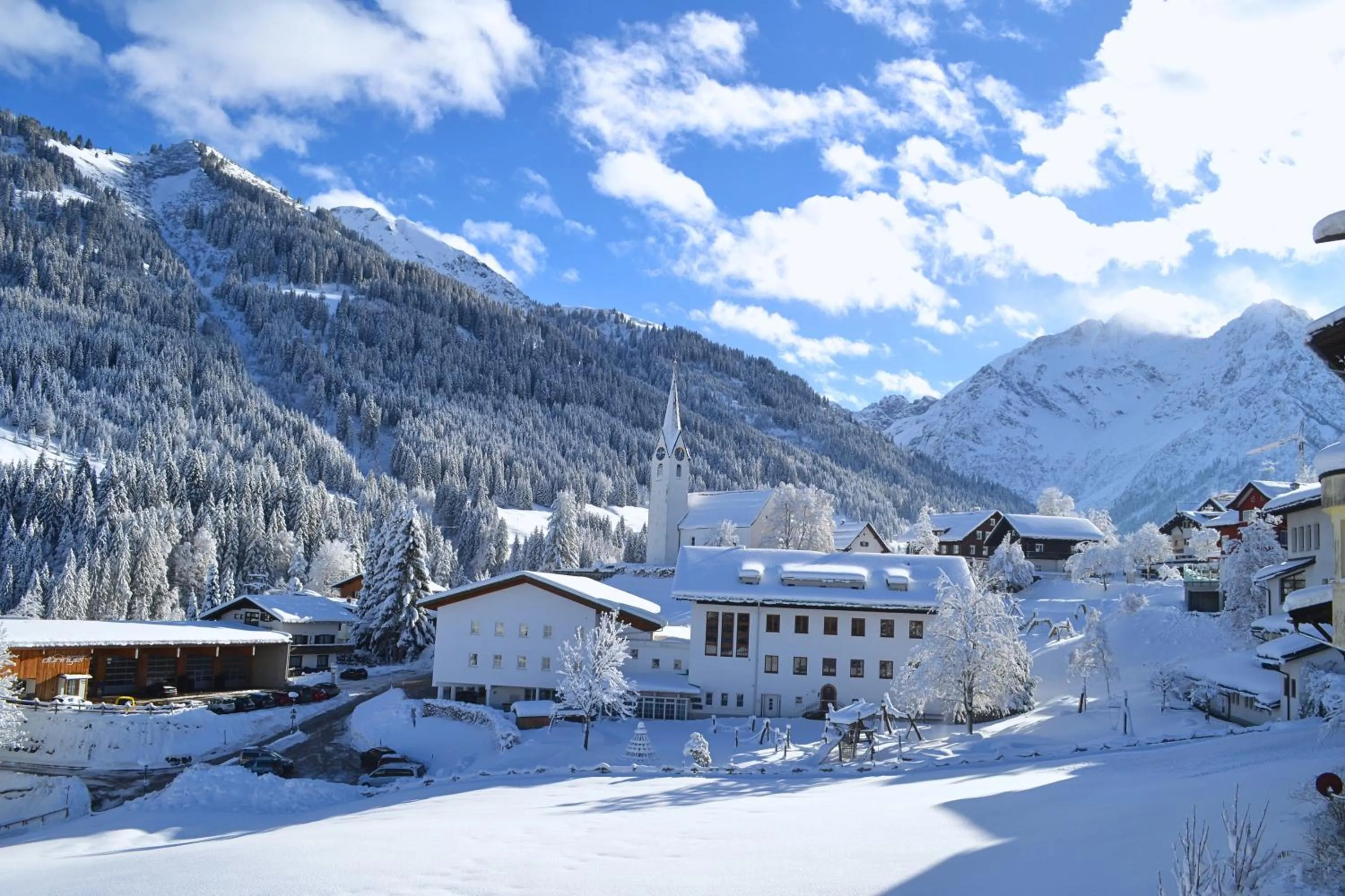 Property building in Alp-Chalet