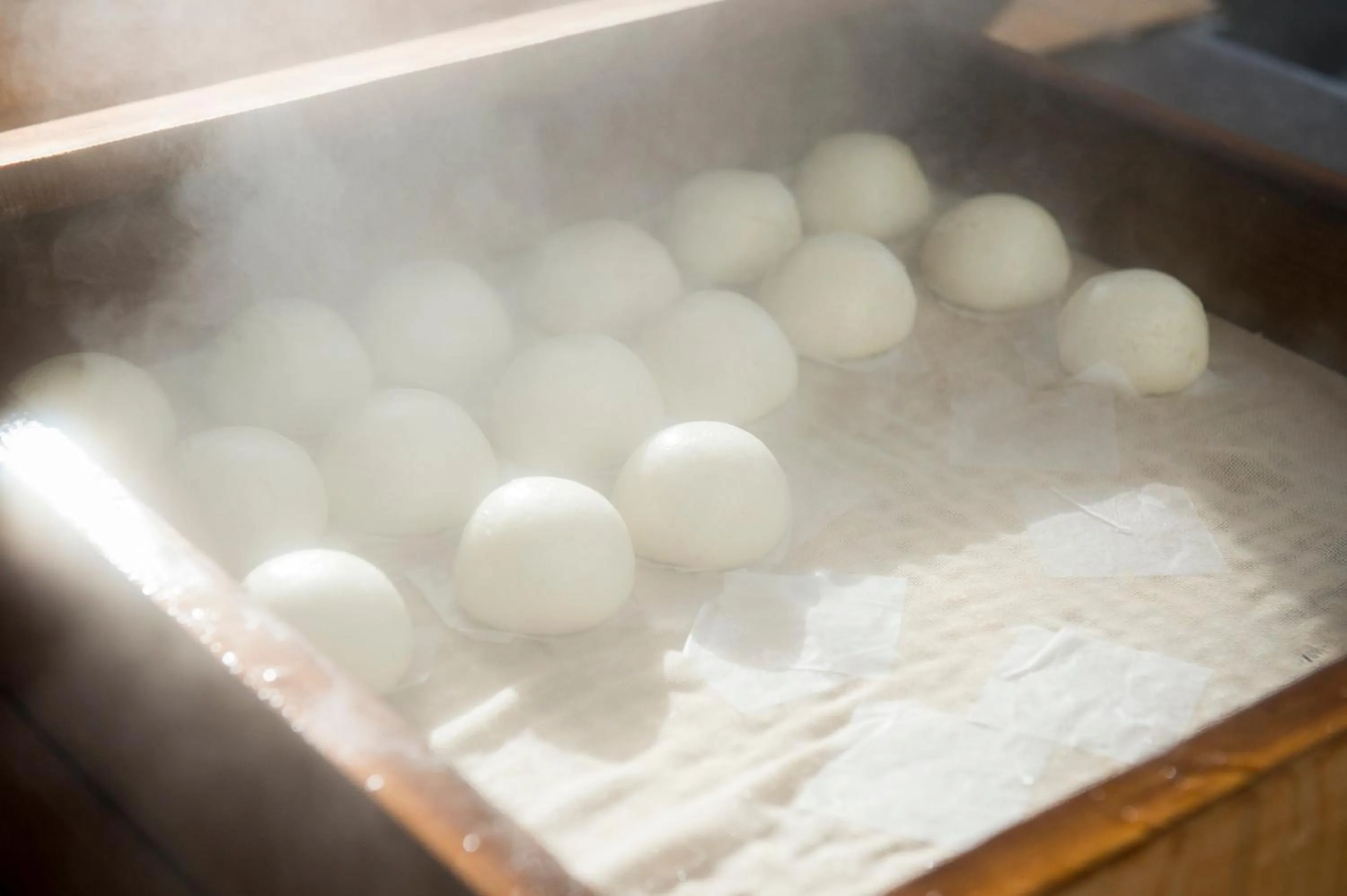 Activities in Hotel Gallery (Adult Only)