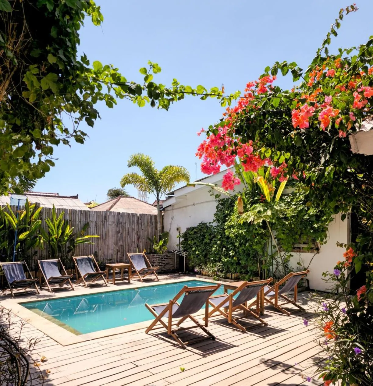 Tipsea Turtle Gili Trawangan