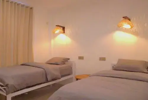 Tipsea Turtle Gili Trawangan Tipsea Turtle Gili Trawangan