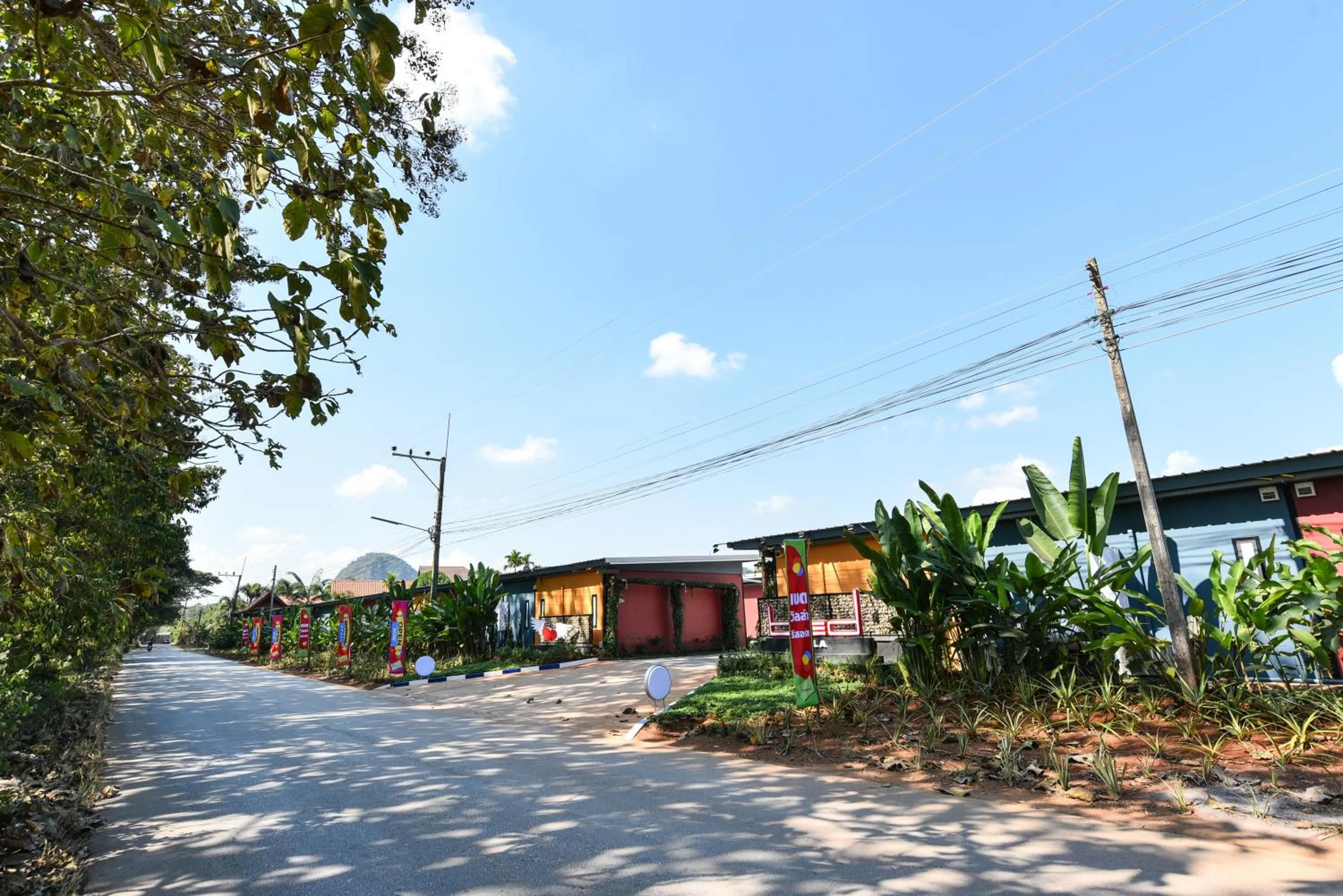 Property building in Bedvilla Chiangrai