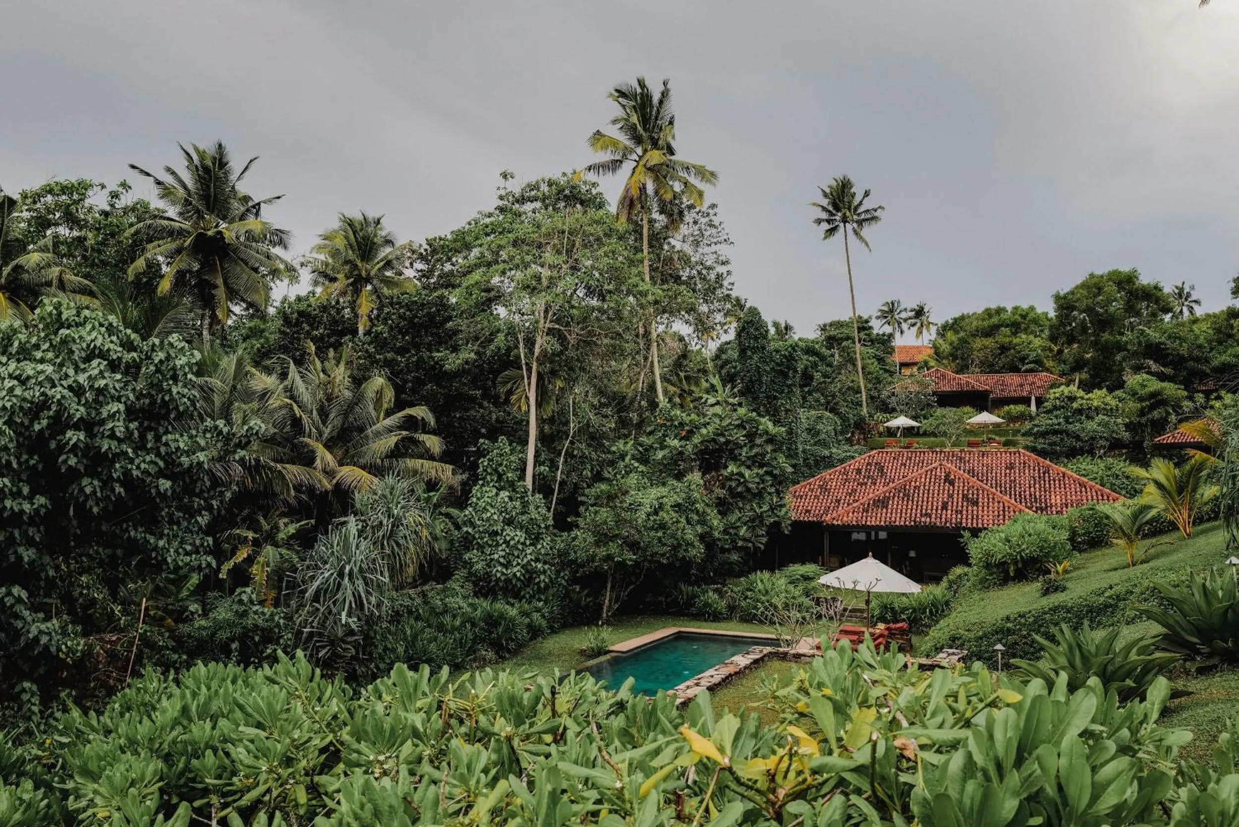 Garden in Cape Weligama - Relais and Chateaux
