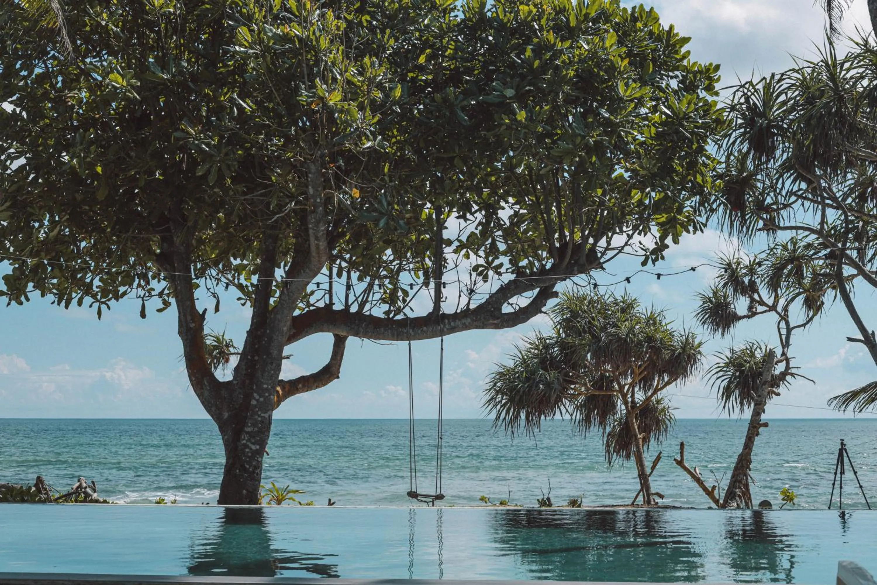 Natural landscape in Naomi Beach Resort - Adults only