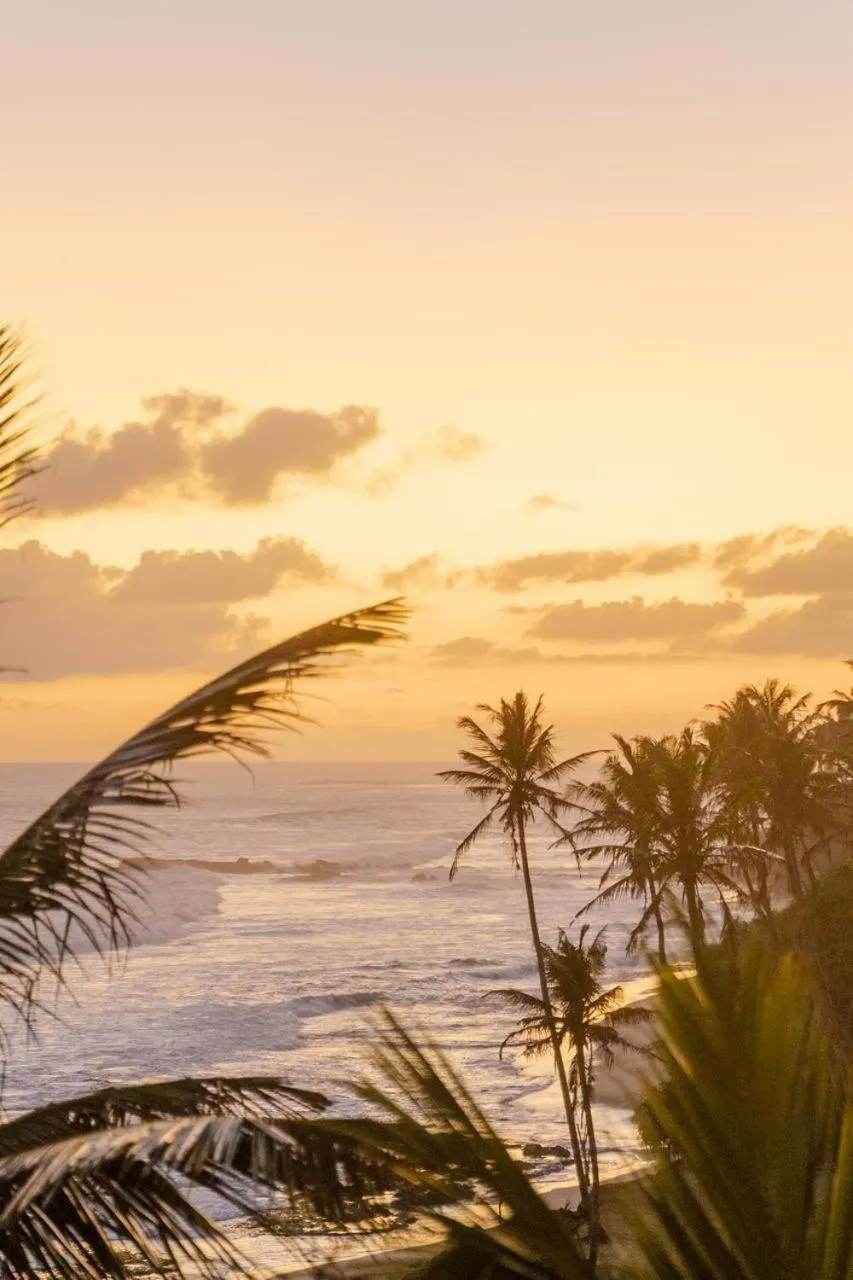 Naomi Beach Resort - Adults only