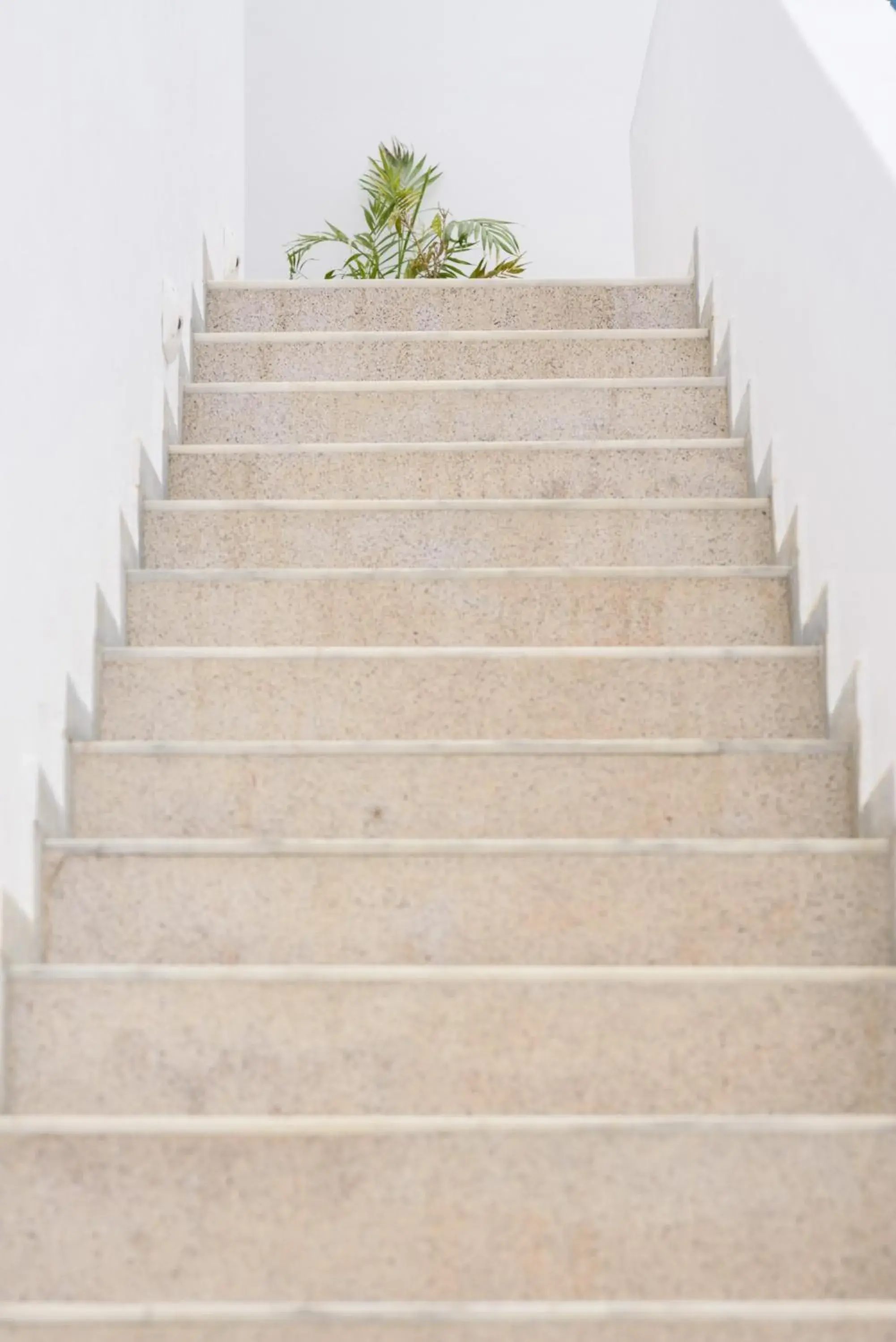 Facade/entrance in Cal Day Rooms Santorini Facade/entrance in Cal Day Rooms Santorini