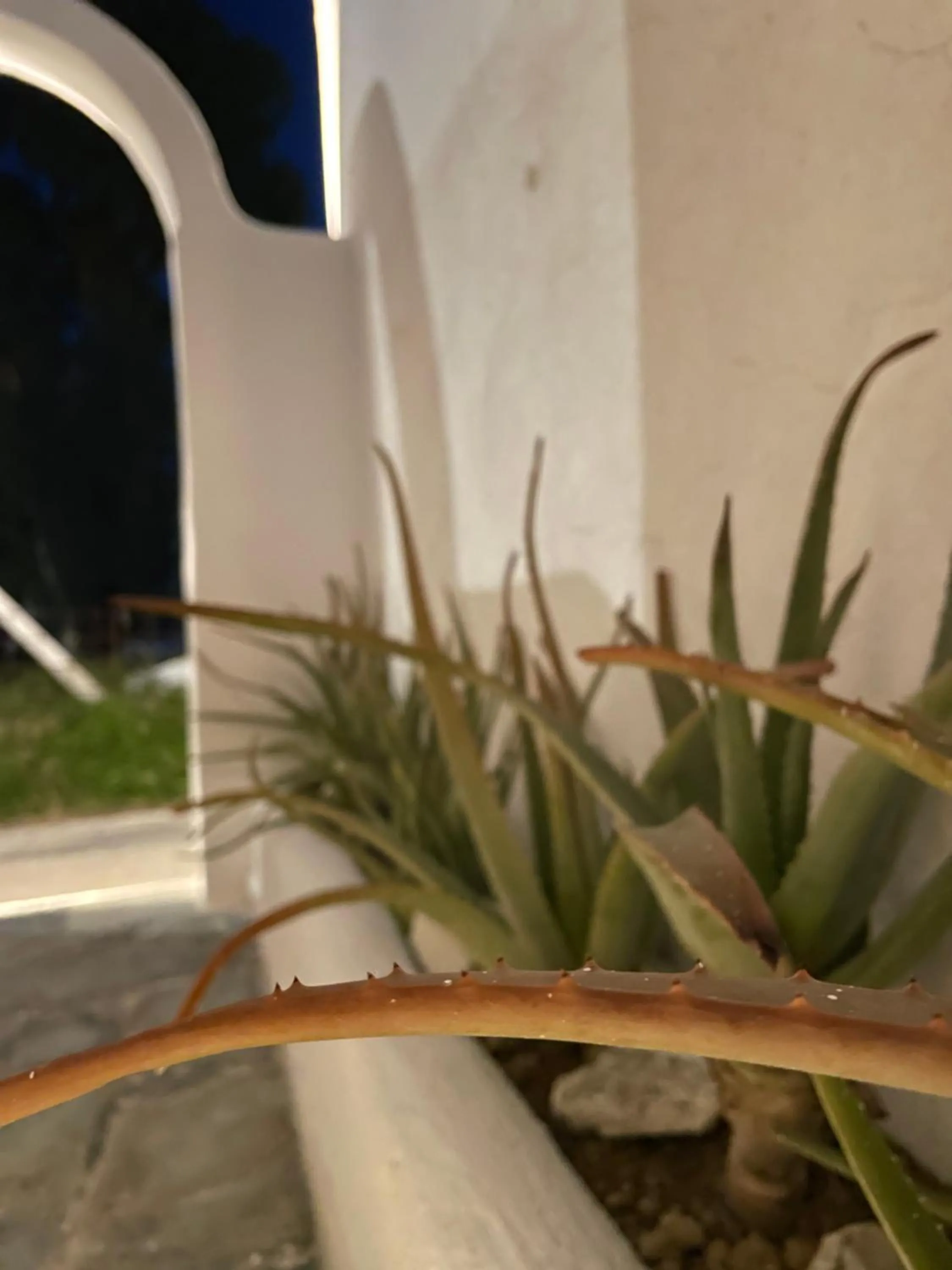 Decorative detail in Cal Day Rooms Santorini