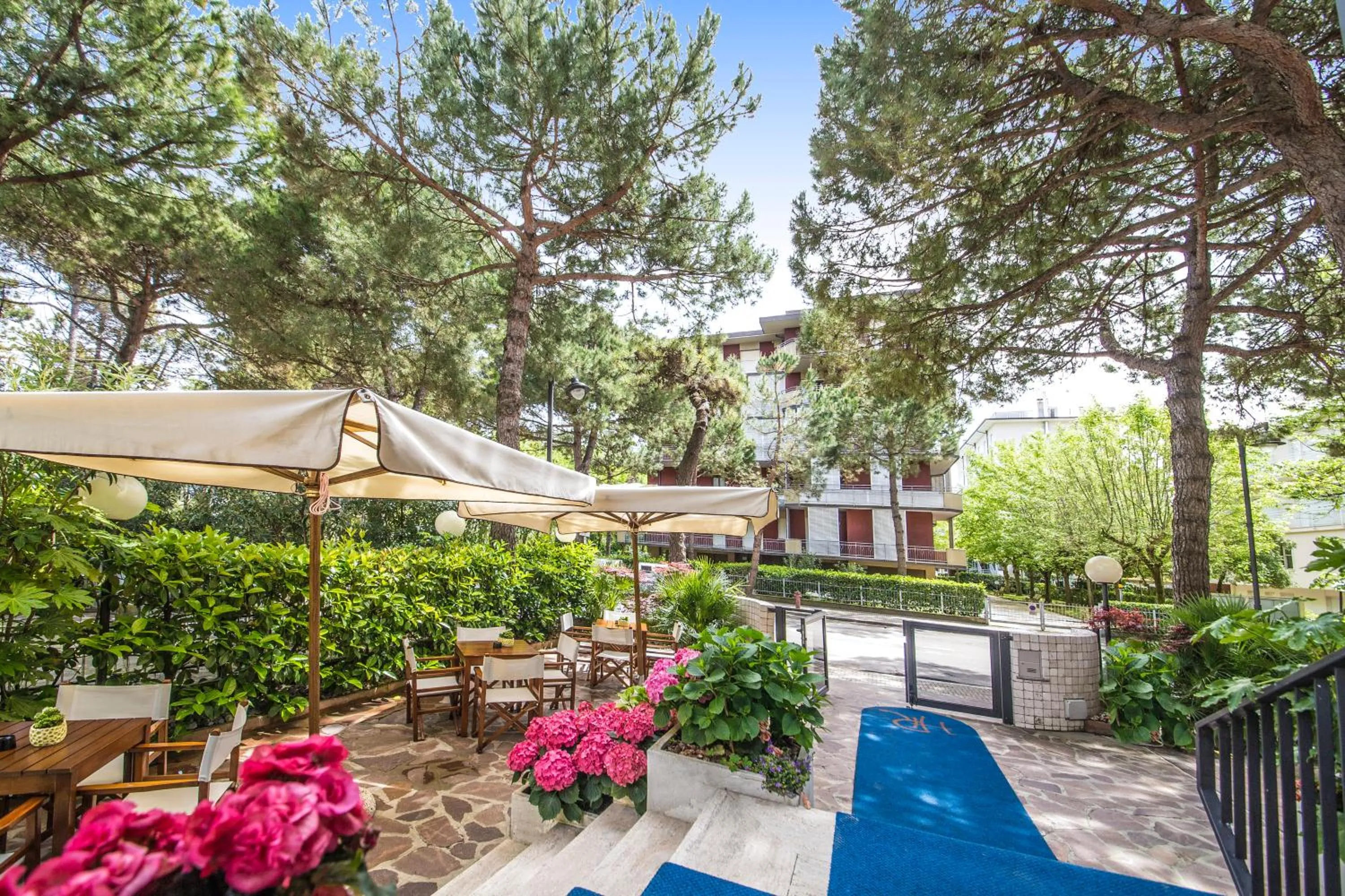 Garden view in Renzo Hotel