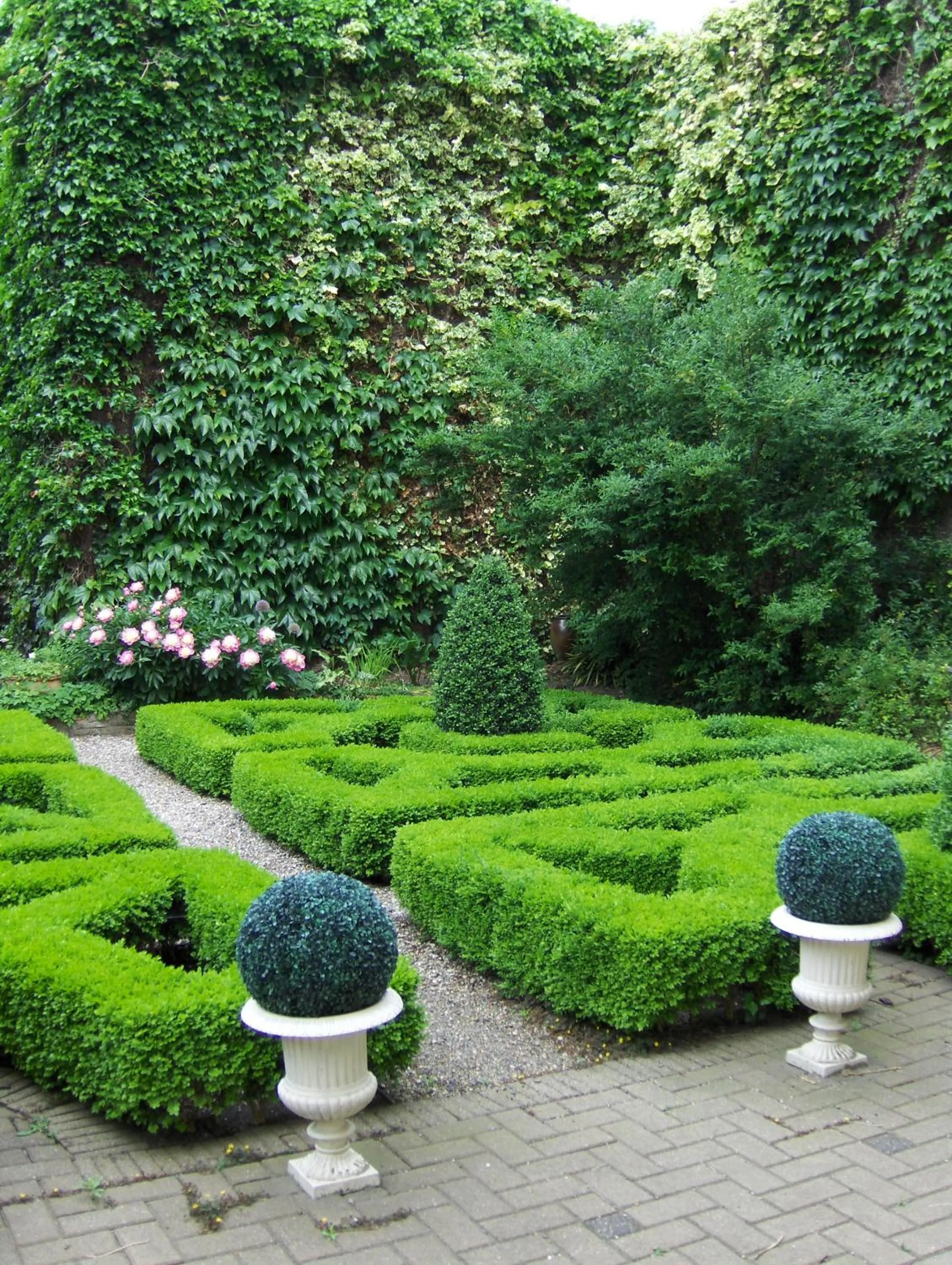 Garden in Erasmus Hotel
