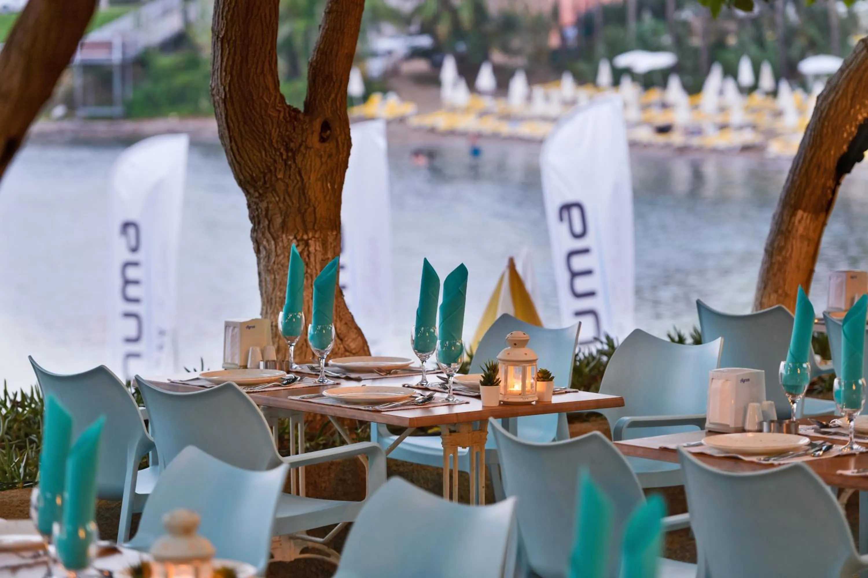 Restaurant/places to eat in Numa Bay Exclusive Hotel - Ultra All Inclusive