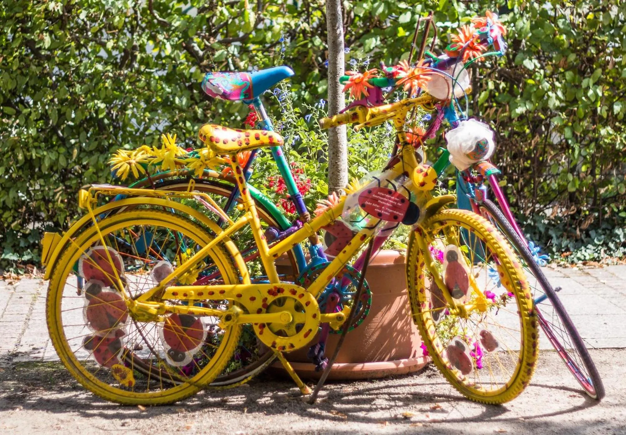 Garden in Hotel Neuenburger Hof