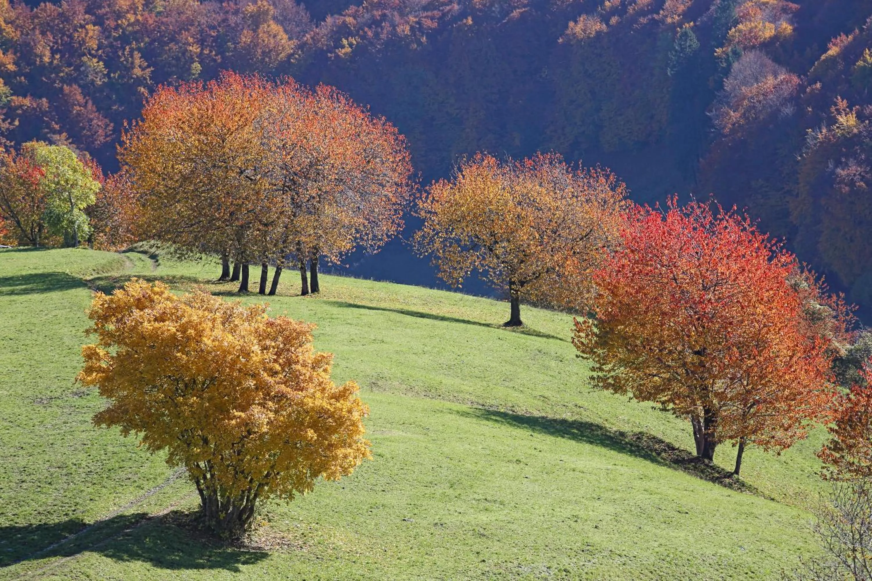 Natural landscape in Casa Leon d'Oro