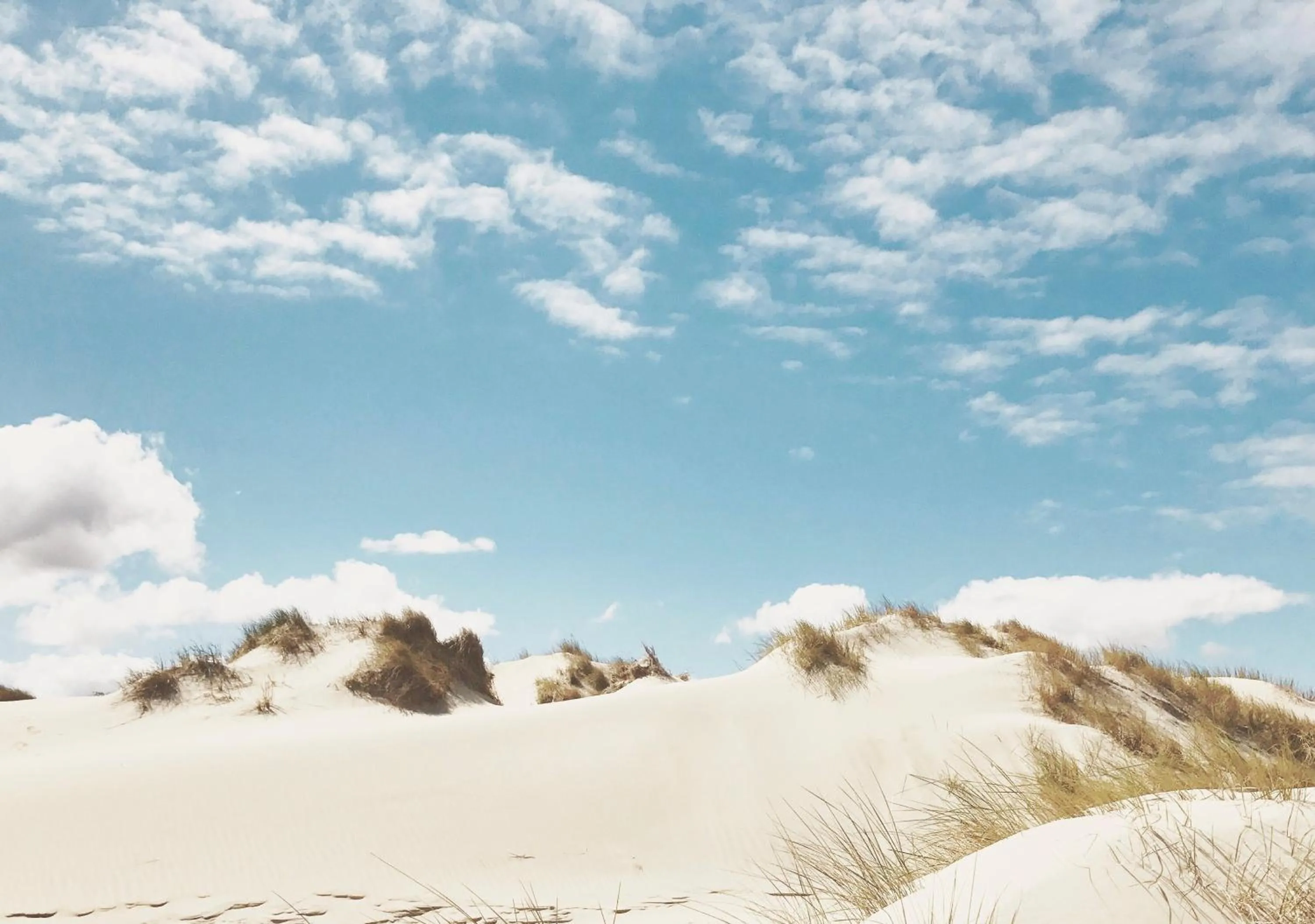 Natural landscape in Villa Breeksee