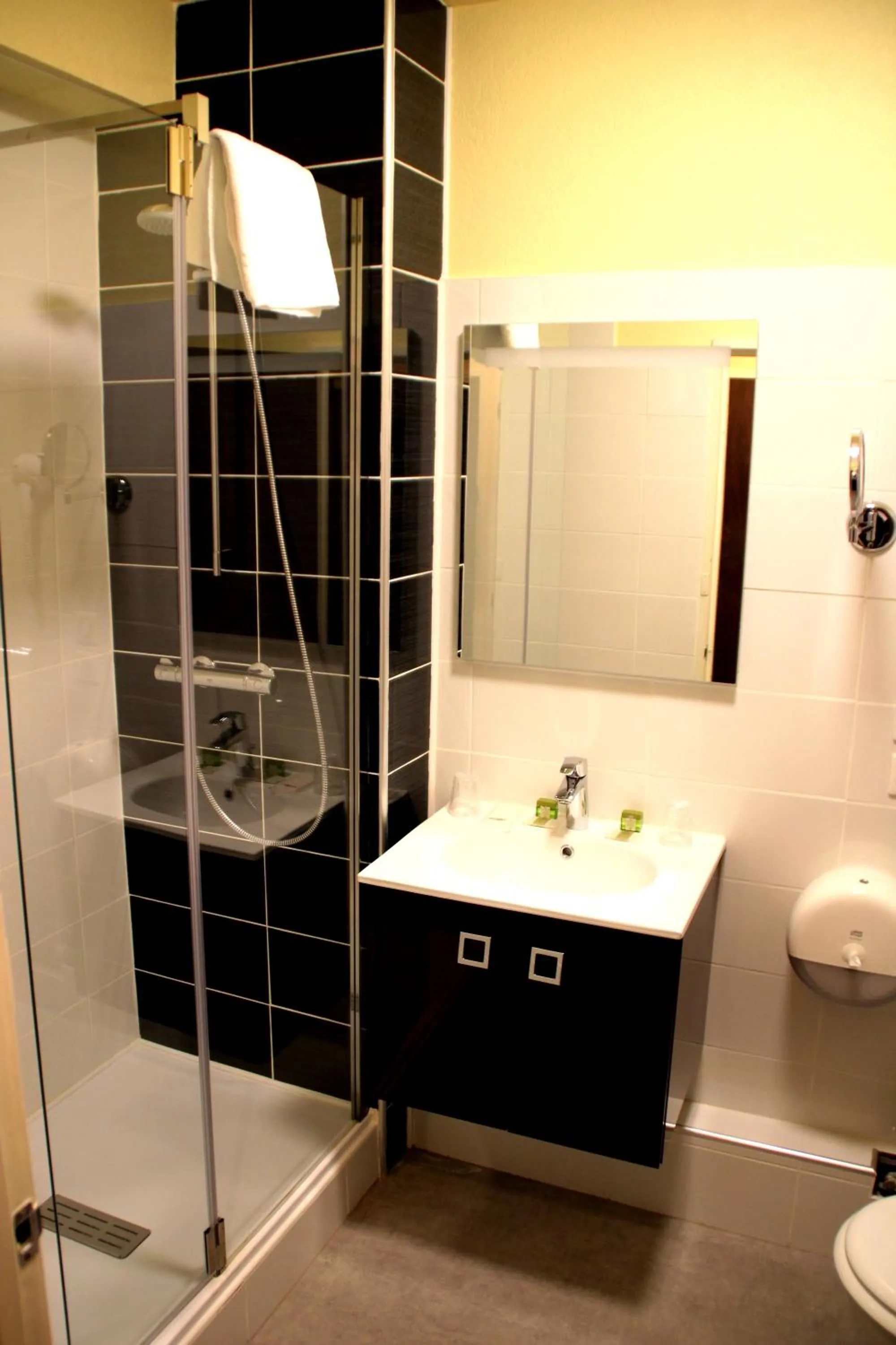 Shower in Hôtel Saint-Hubert
