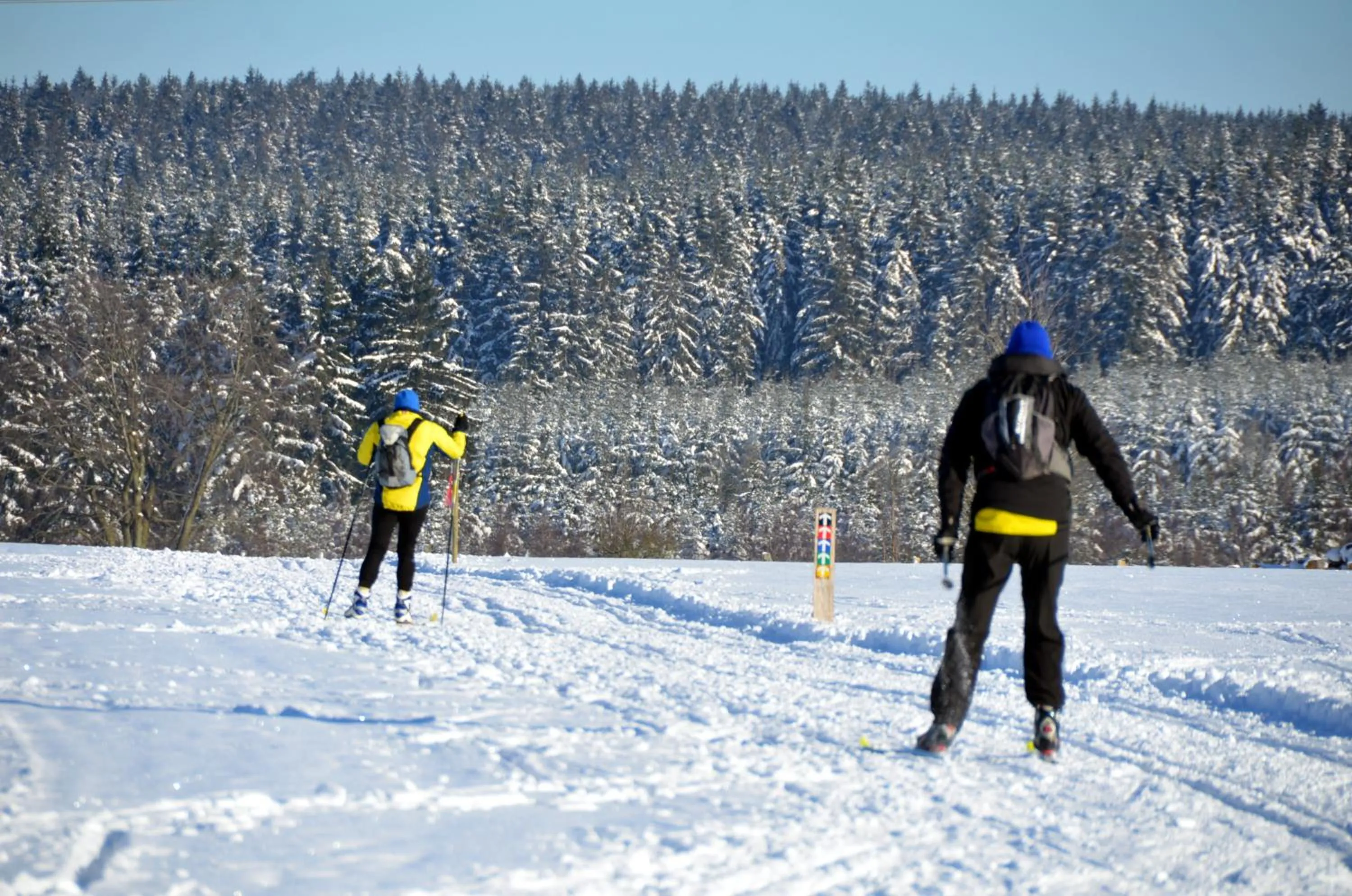 Winter in Hôtel L'Amandier