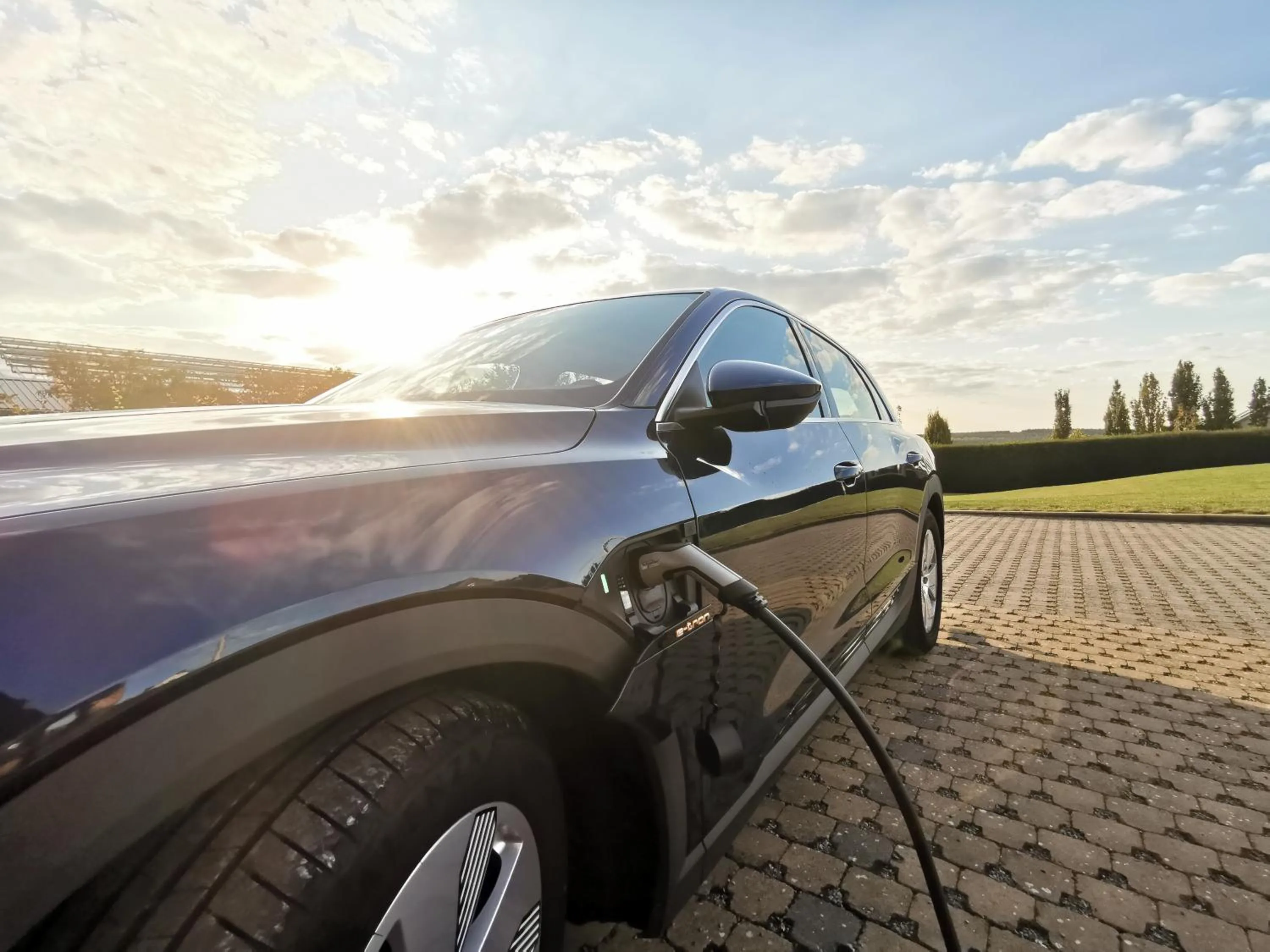 Area and facilities in Hôtel L'Amandier