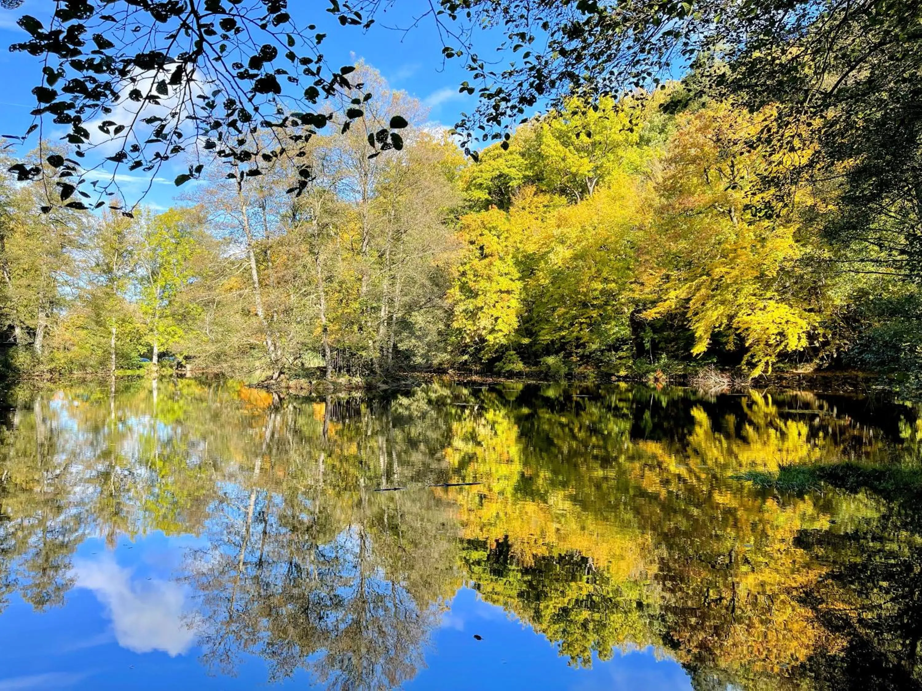Autumn in Hôtel L'Amandier