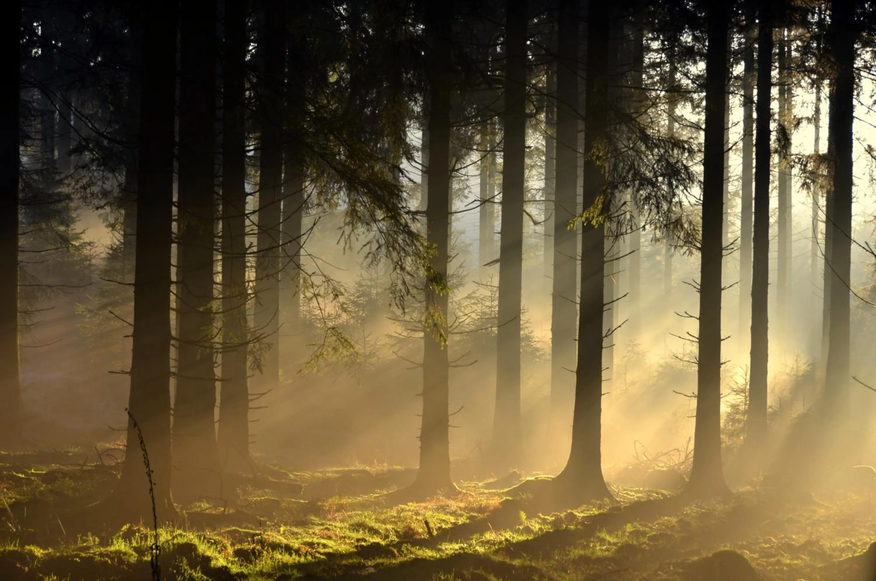Natural landscape in Hôtel L'Amandier