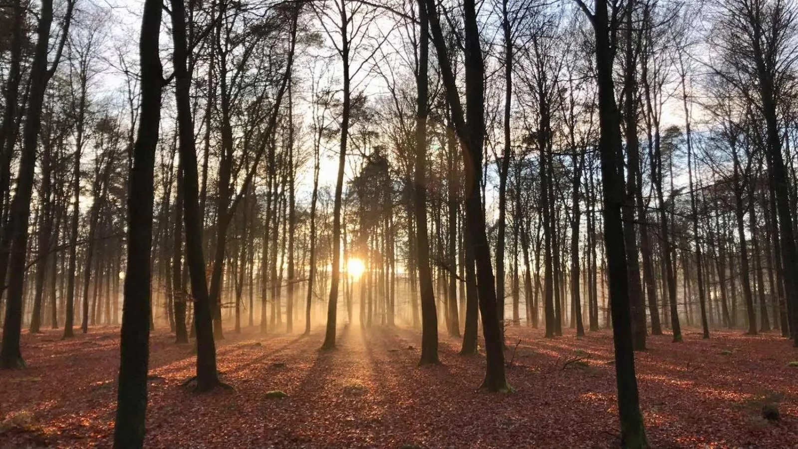 Natural landscape in Hôtel L'Amandier