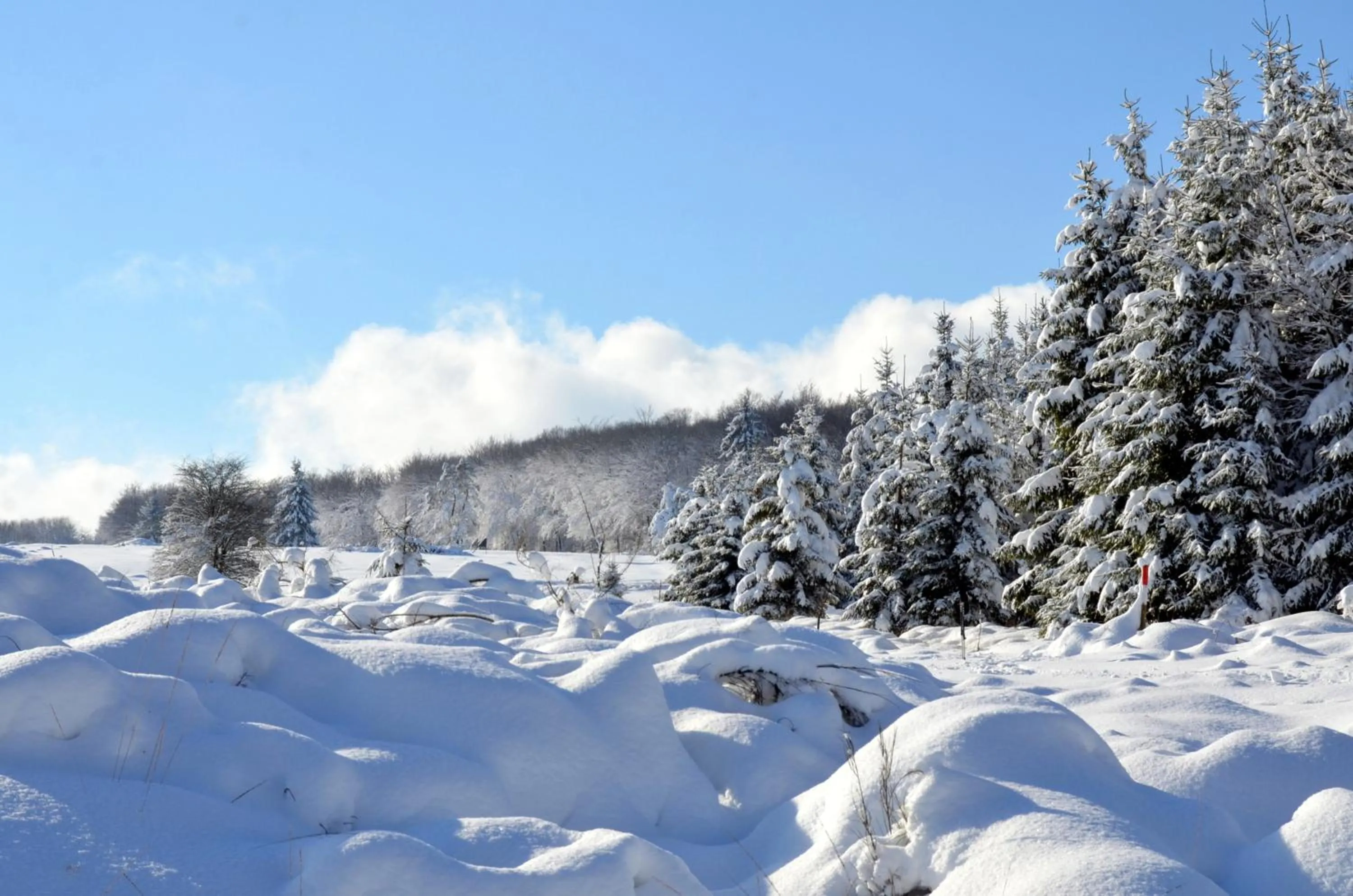 Natural landscape in Hôtel L'Amandier