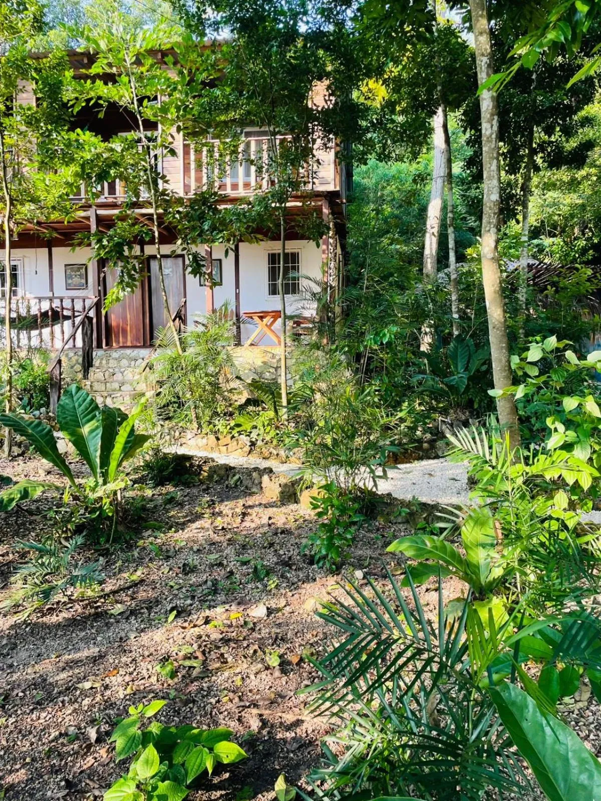 Garden view in Hotel Mon Ami