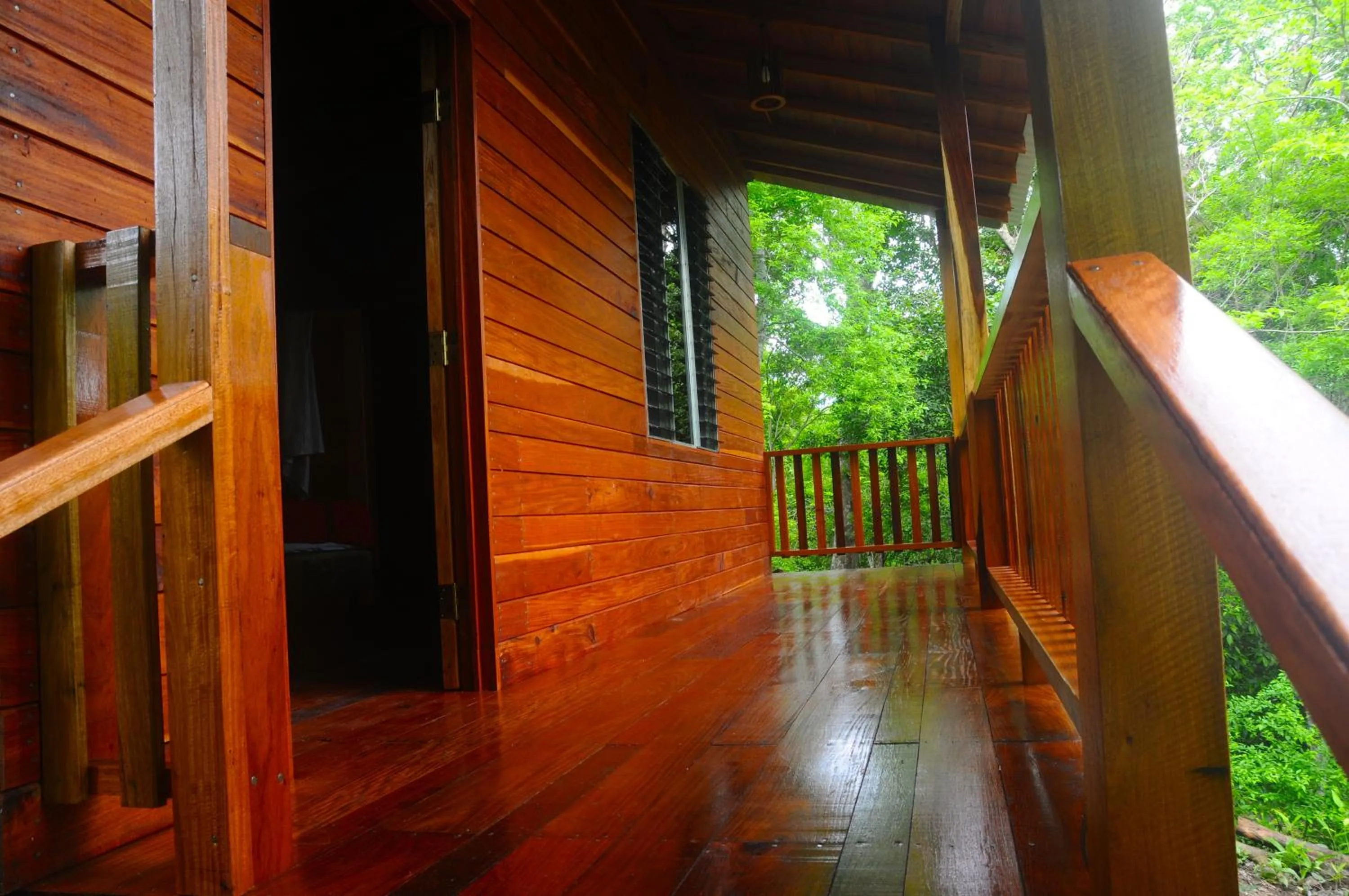 Garden view in Hotel Mon Ami