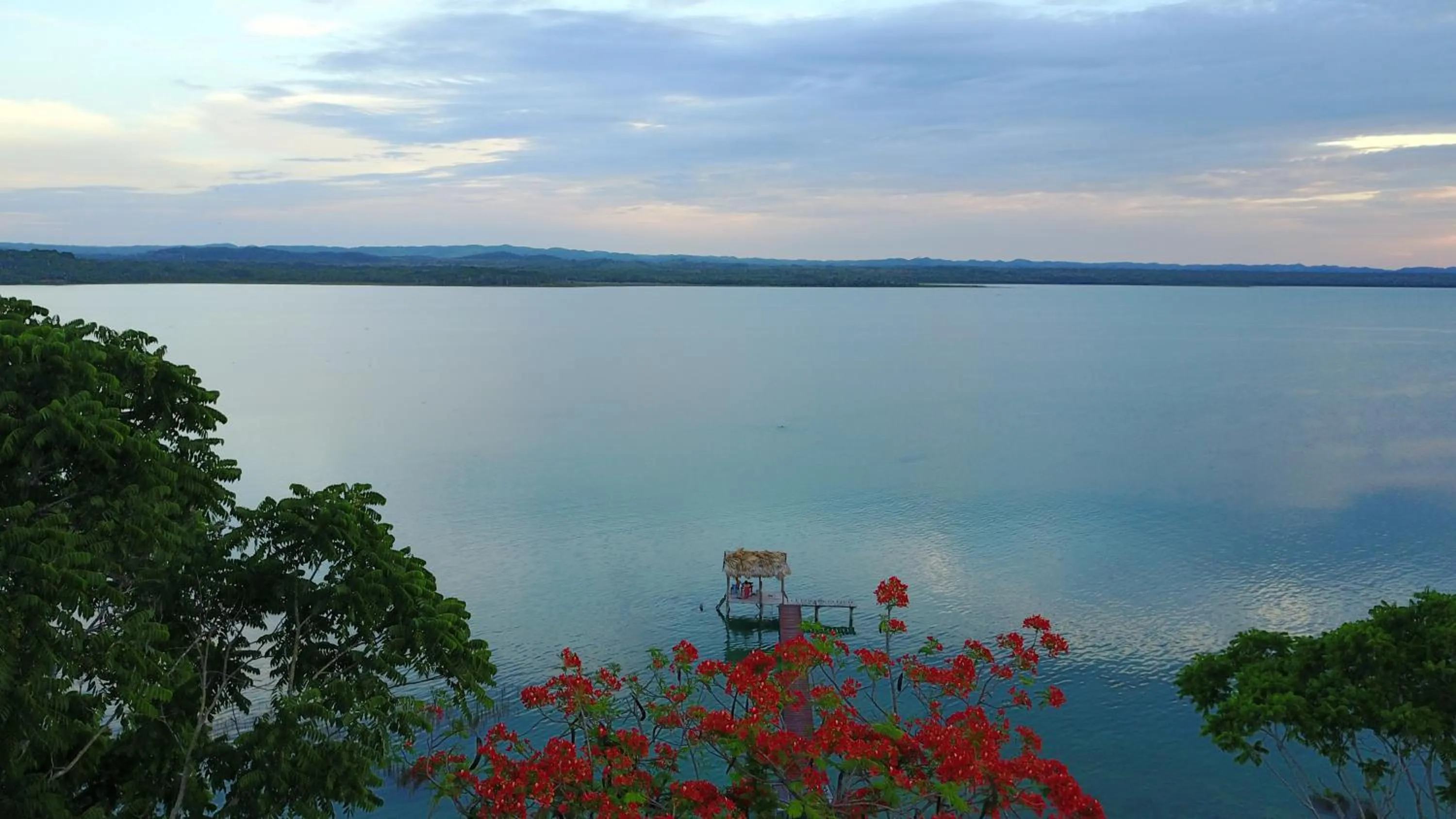 Natural landscape in Hotel Mon Ami