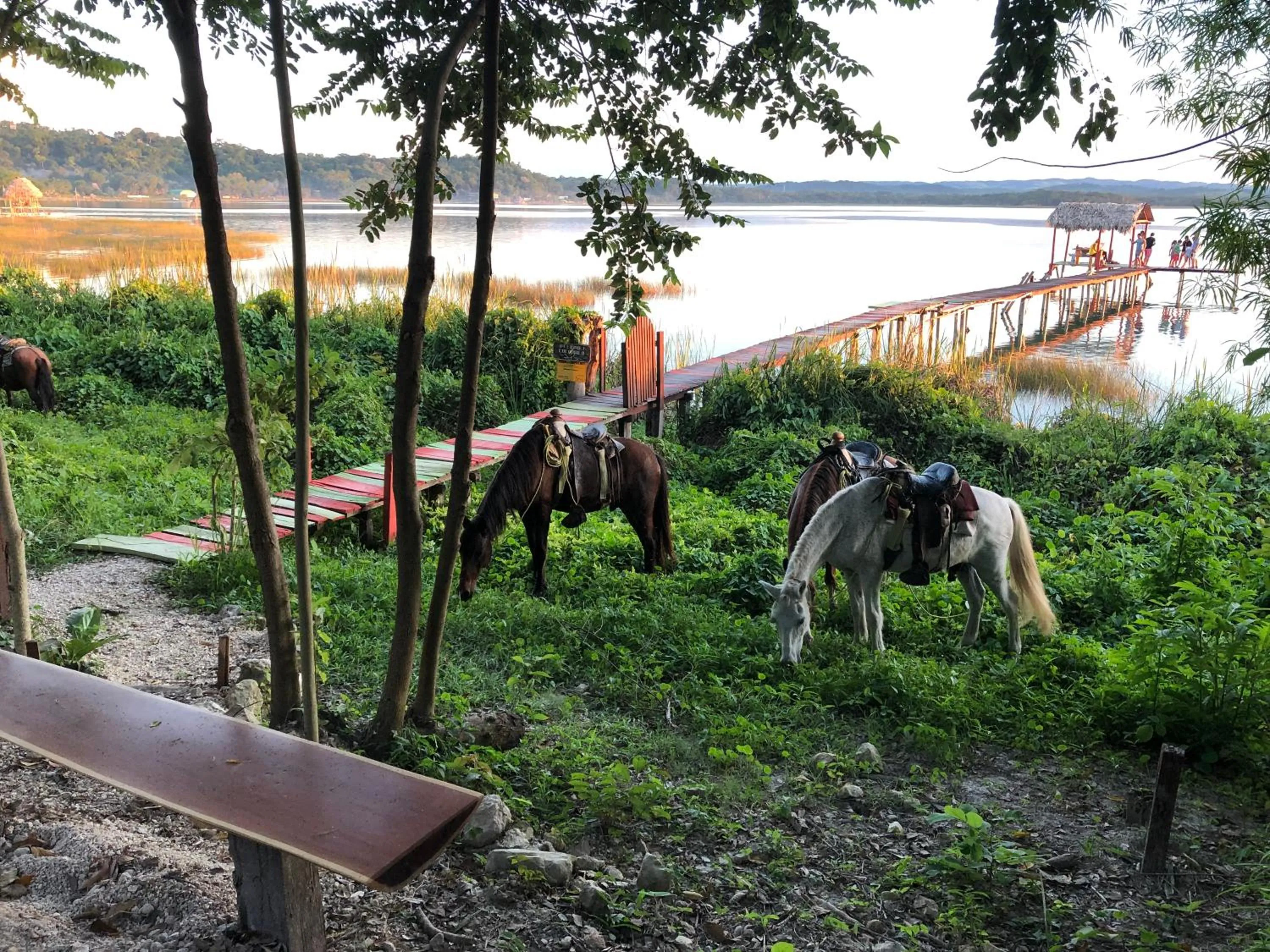 Natural landscape in Hotel Mon Ami