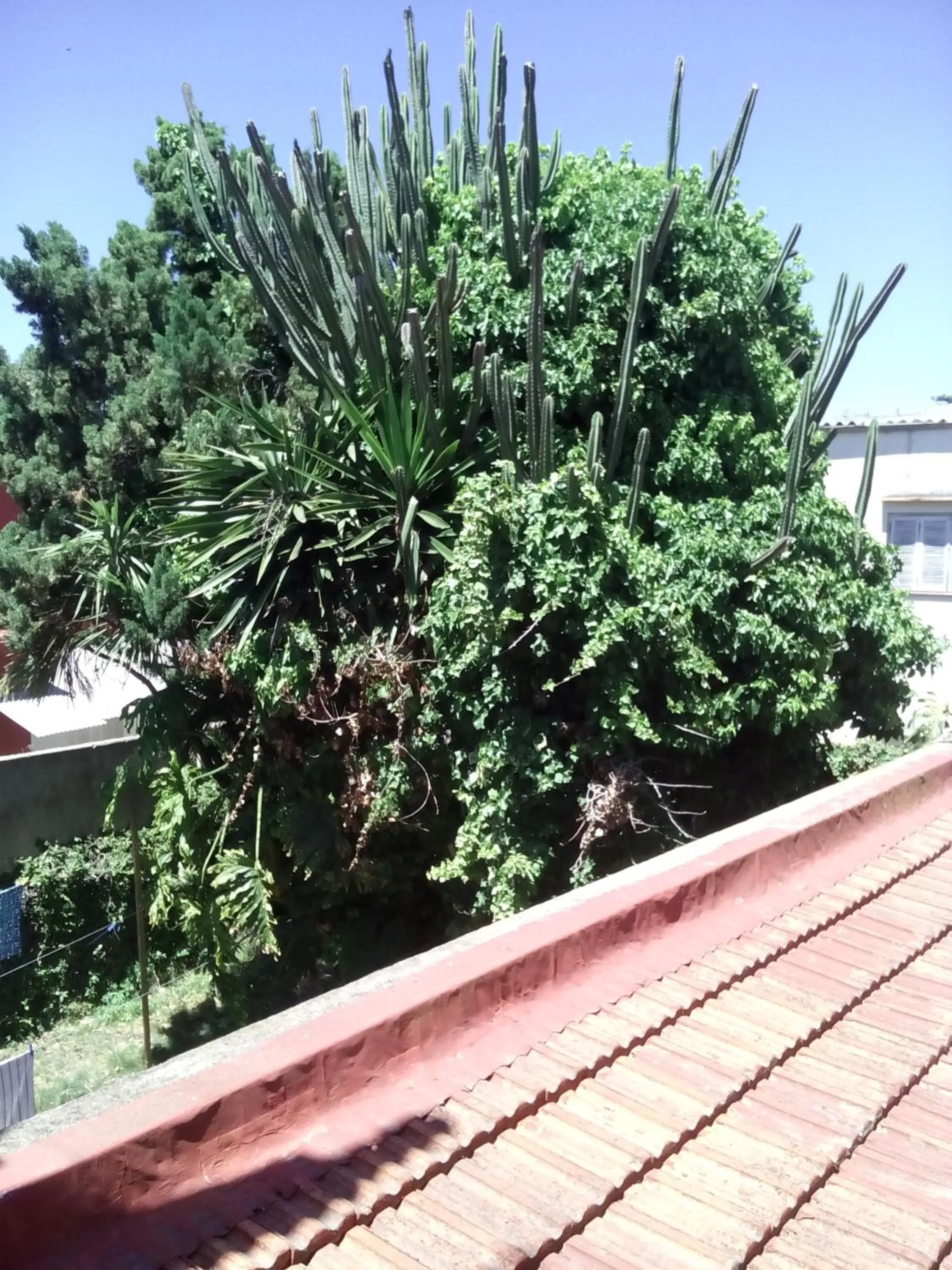 View (from property/room) in Hostería Almirante Brown
