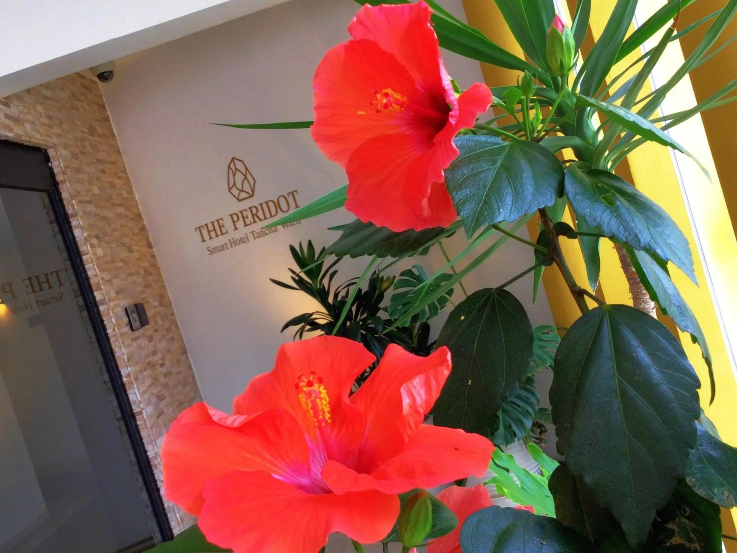 Property building in The Peridot Smart Hotel Tancha Ward