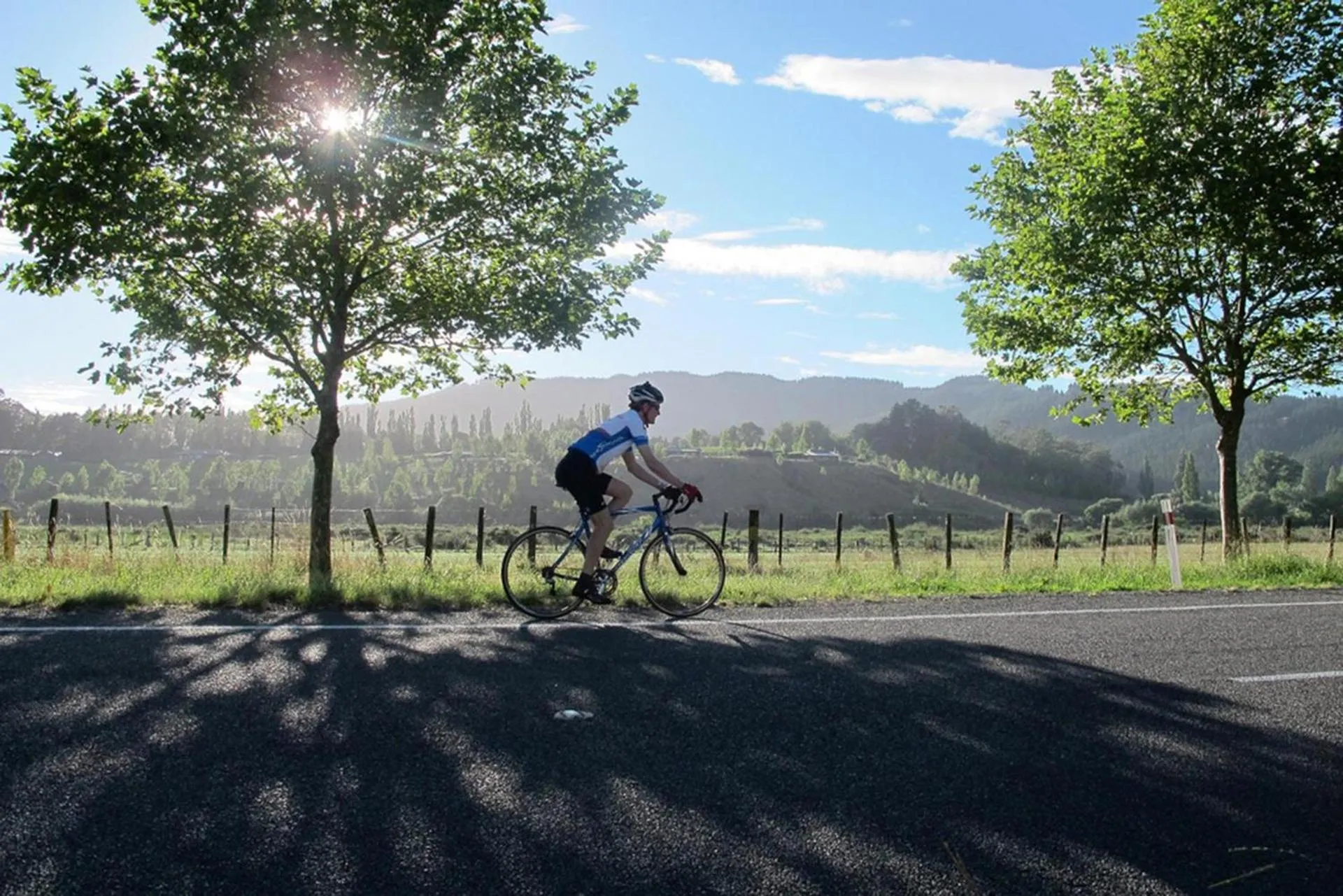 Cycling in Secluded Haven Near Bush, Beach & Havelock North